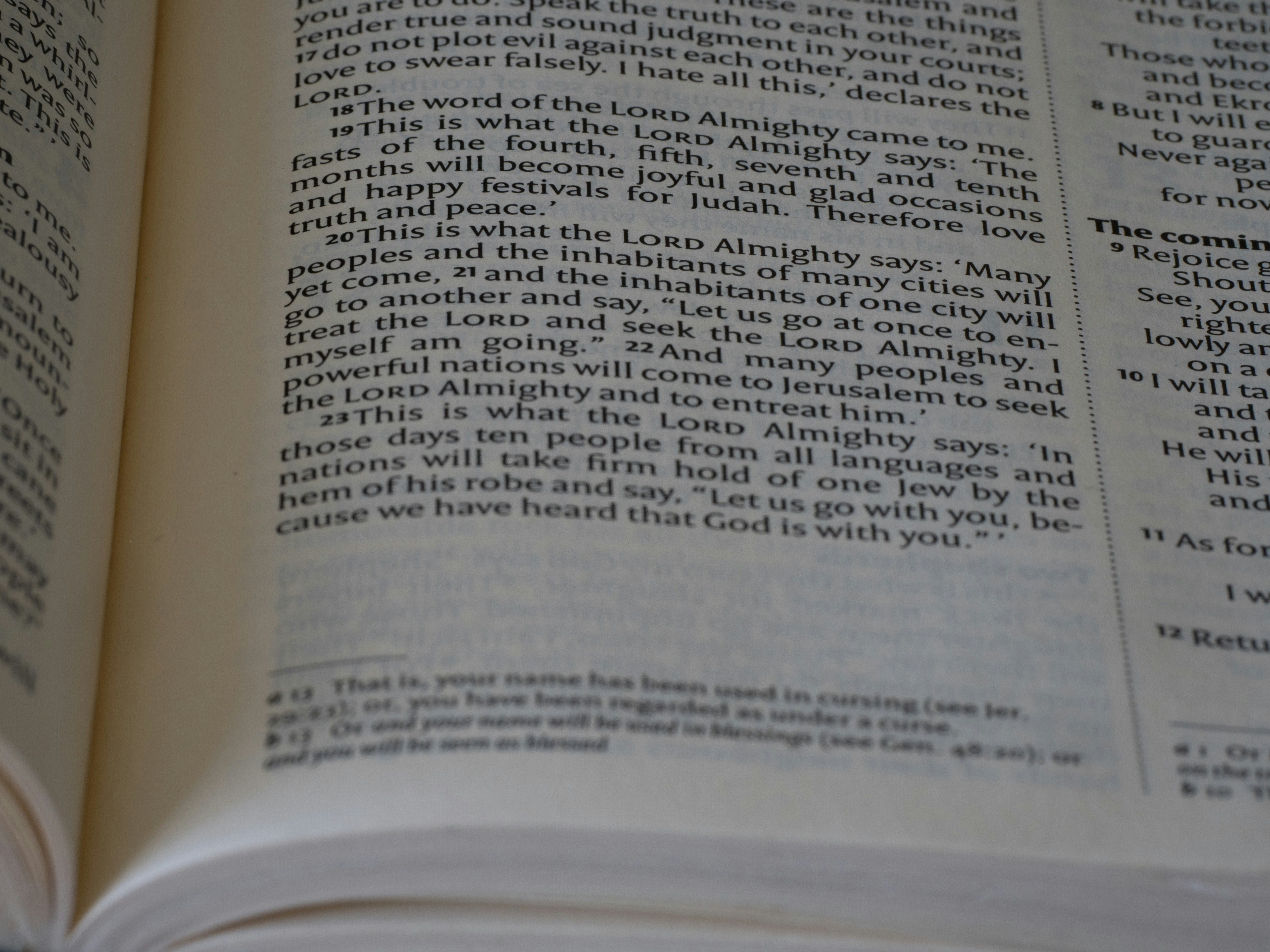 close up, bokeh, macro, blur, blurred background, close focus, bible, old testament, hebrew bible, christian, judaism, history, text, reading, bible study, devotions, New International Version, type, typography, canon, christianity, scripture, old testament, hebrew bible, minor prophet, Zechariah,