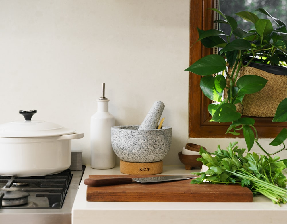 a potted plant sitting on top of a counter next to a knife