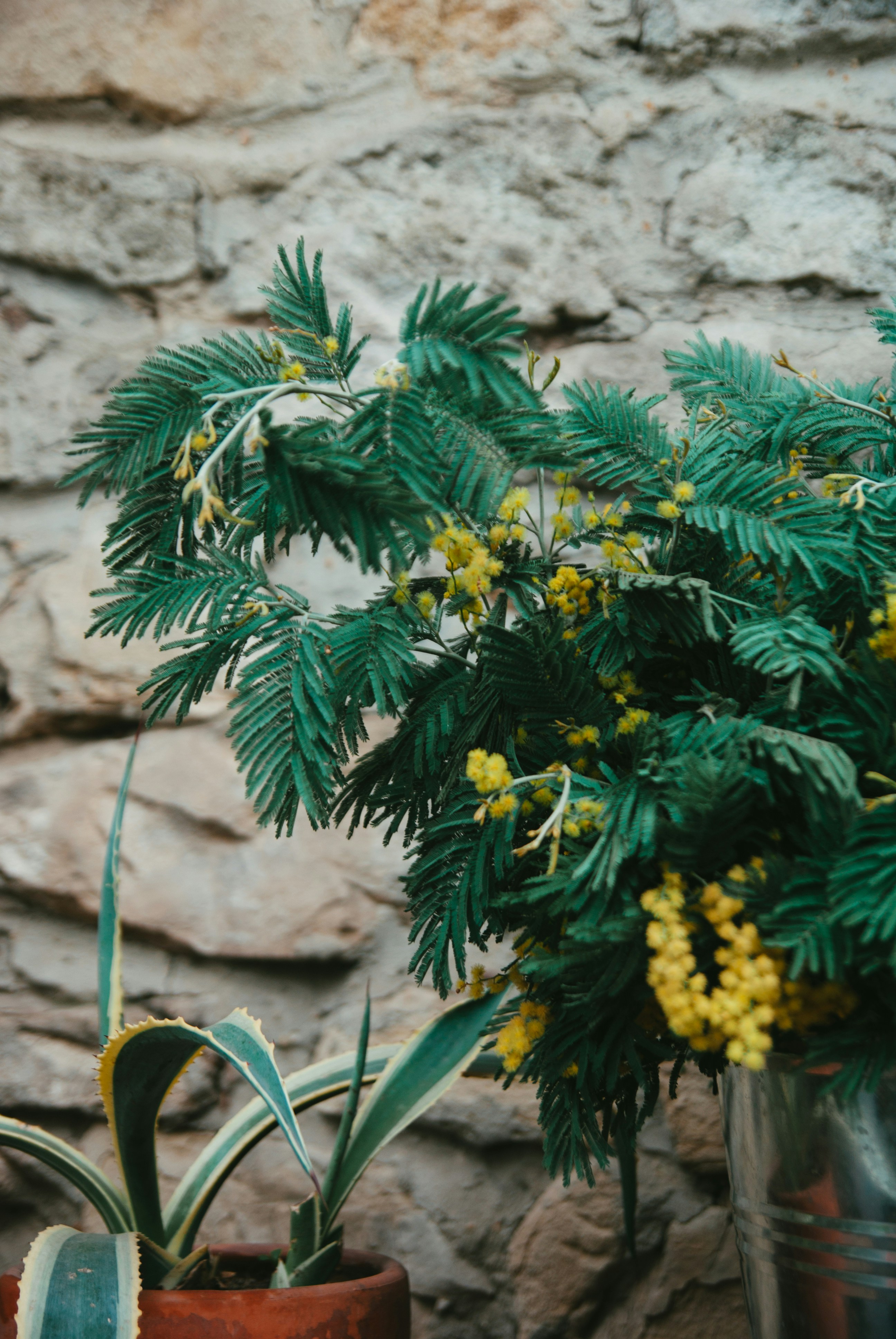 Photo by moonmoons_days