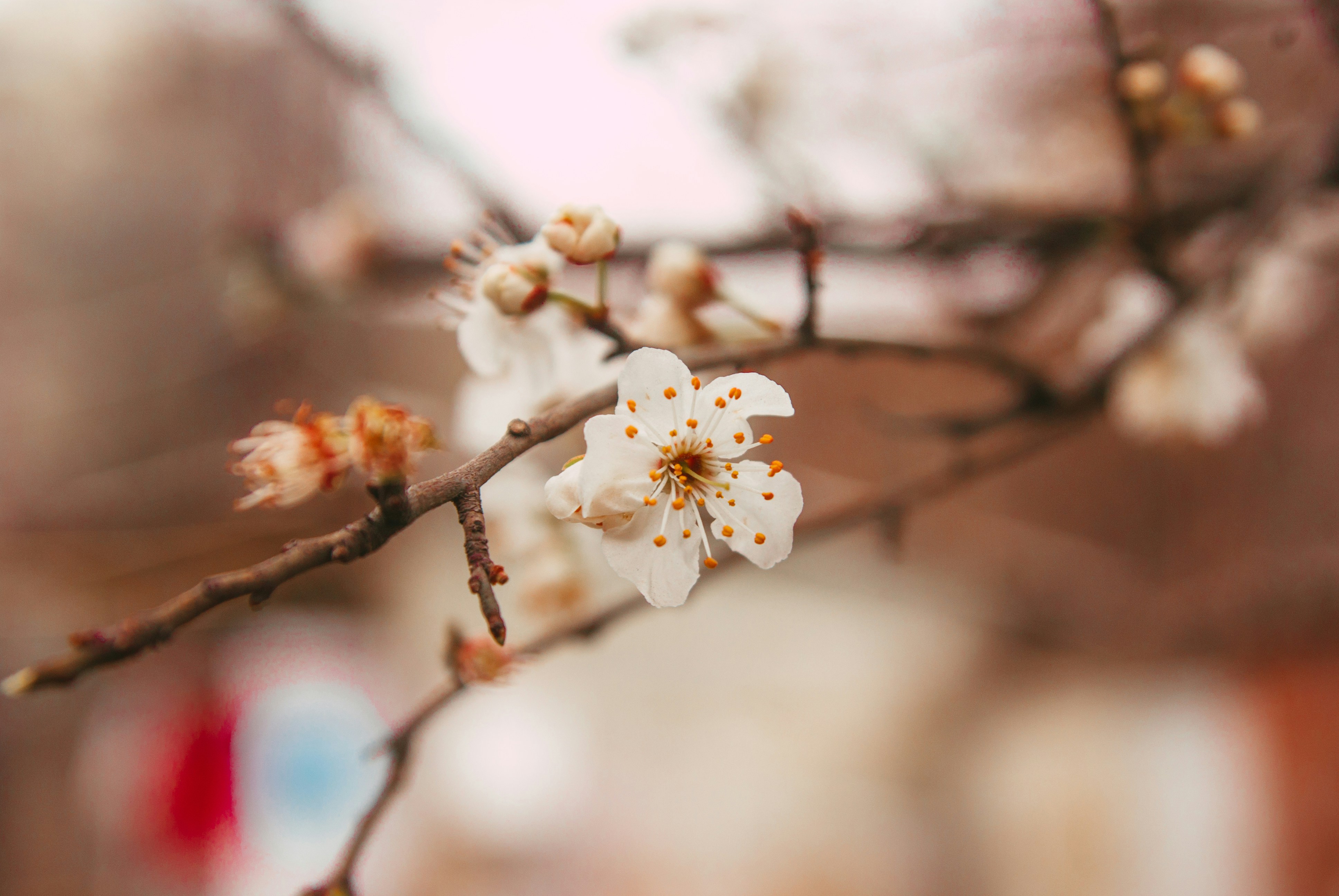 Photo by moonmoons_days