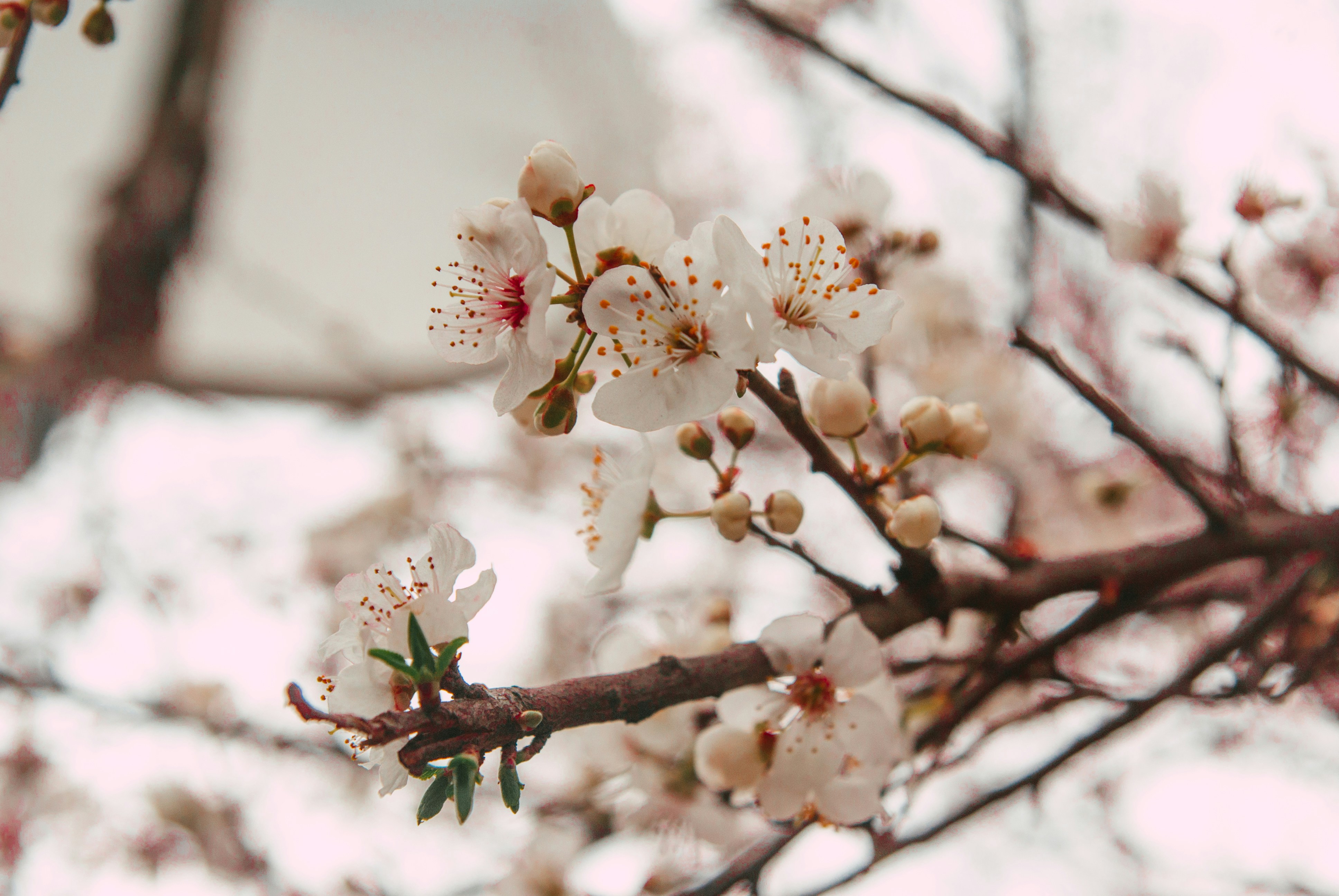 Photo by moonmoons_days