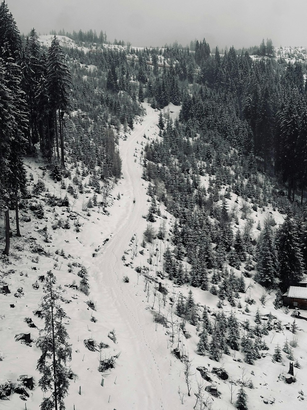 a snow covered hill with trees and a bench