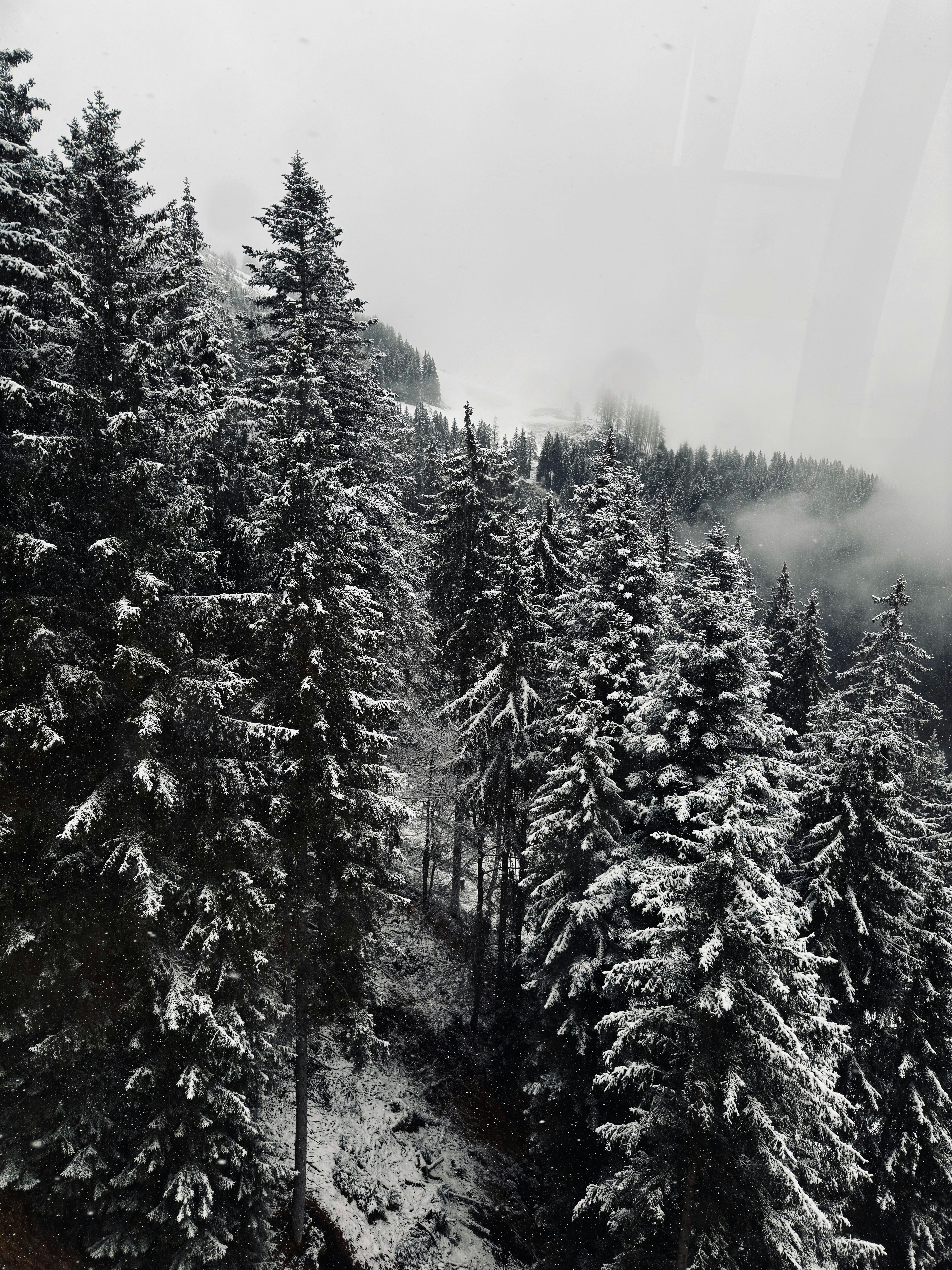 Photo by faiq_iftikhar