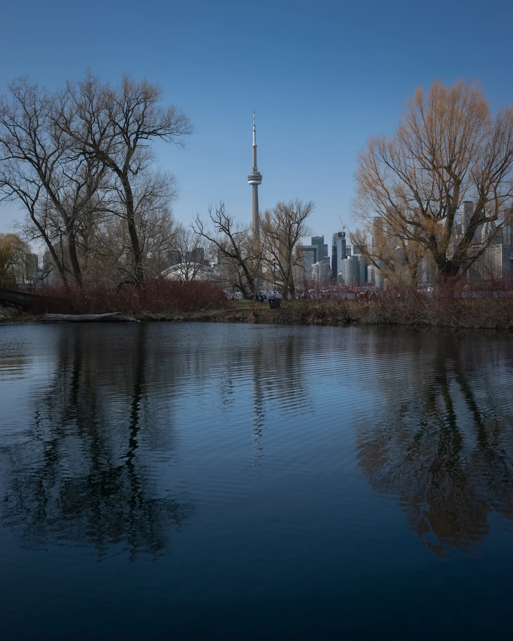 Trees reflected in calm water on the Toronto Islands, with the city skyline beyond