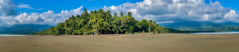 a small island in the middle of a sandy beach