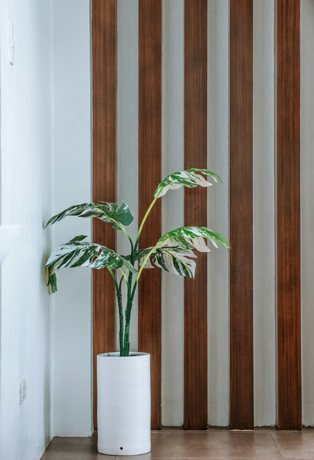 a plant in a white vase on a wooden floor