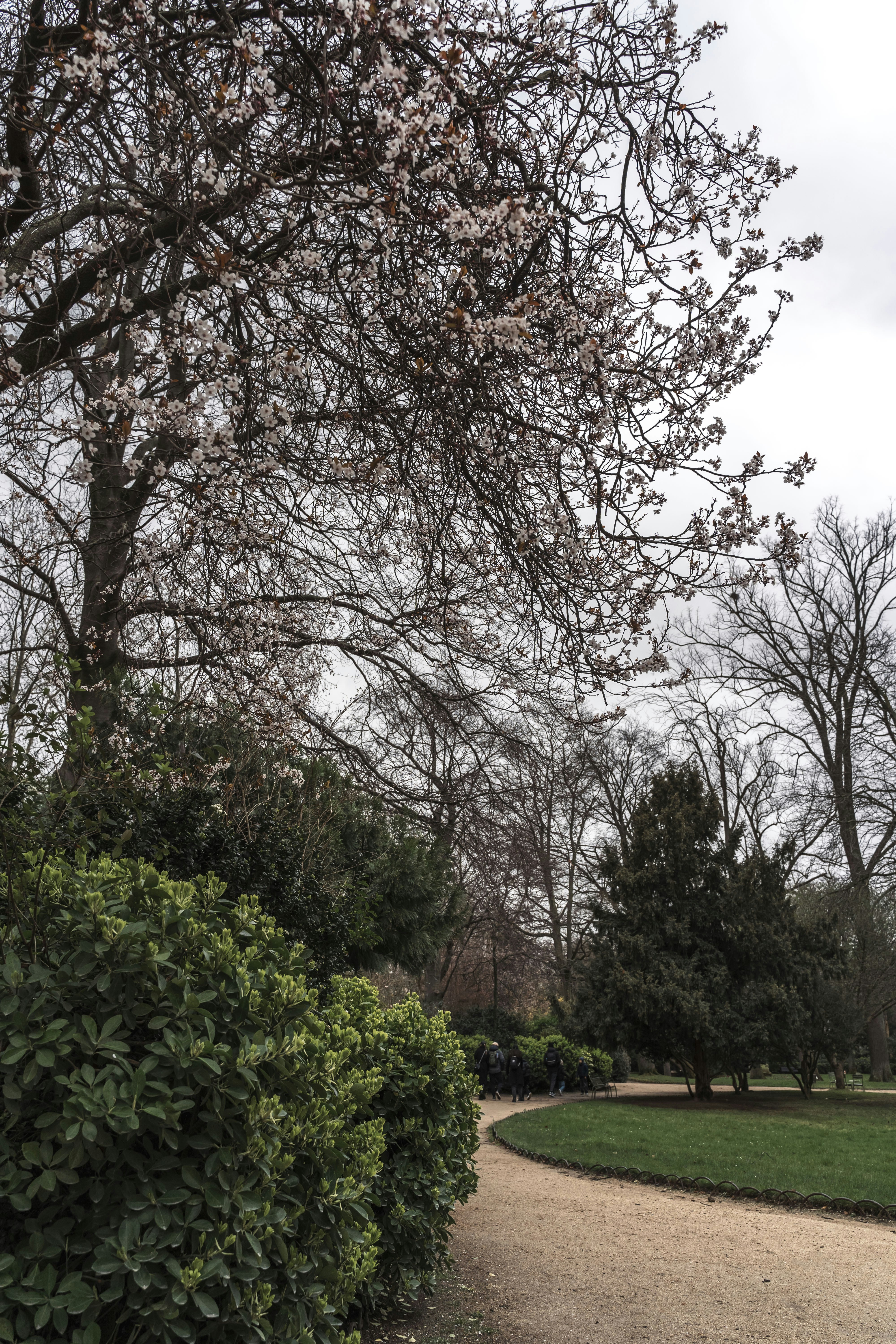 Photo by nicolaripepi