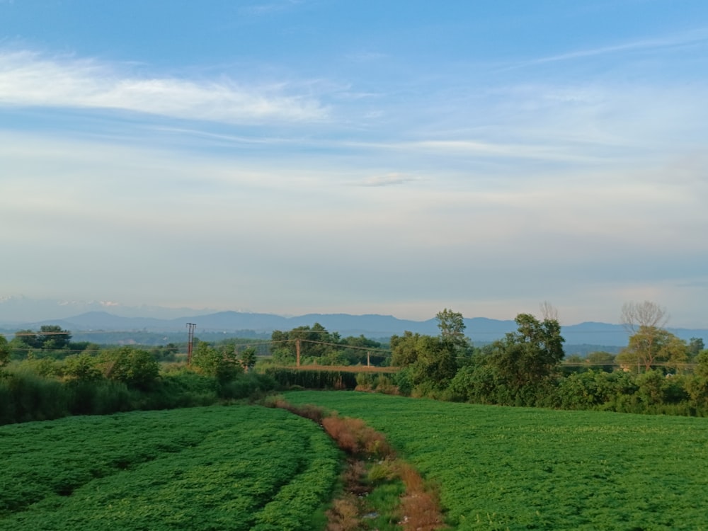 a green field with a dirt path running through it