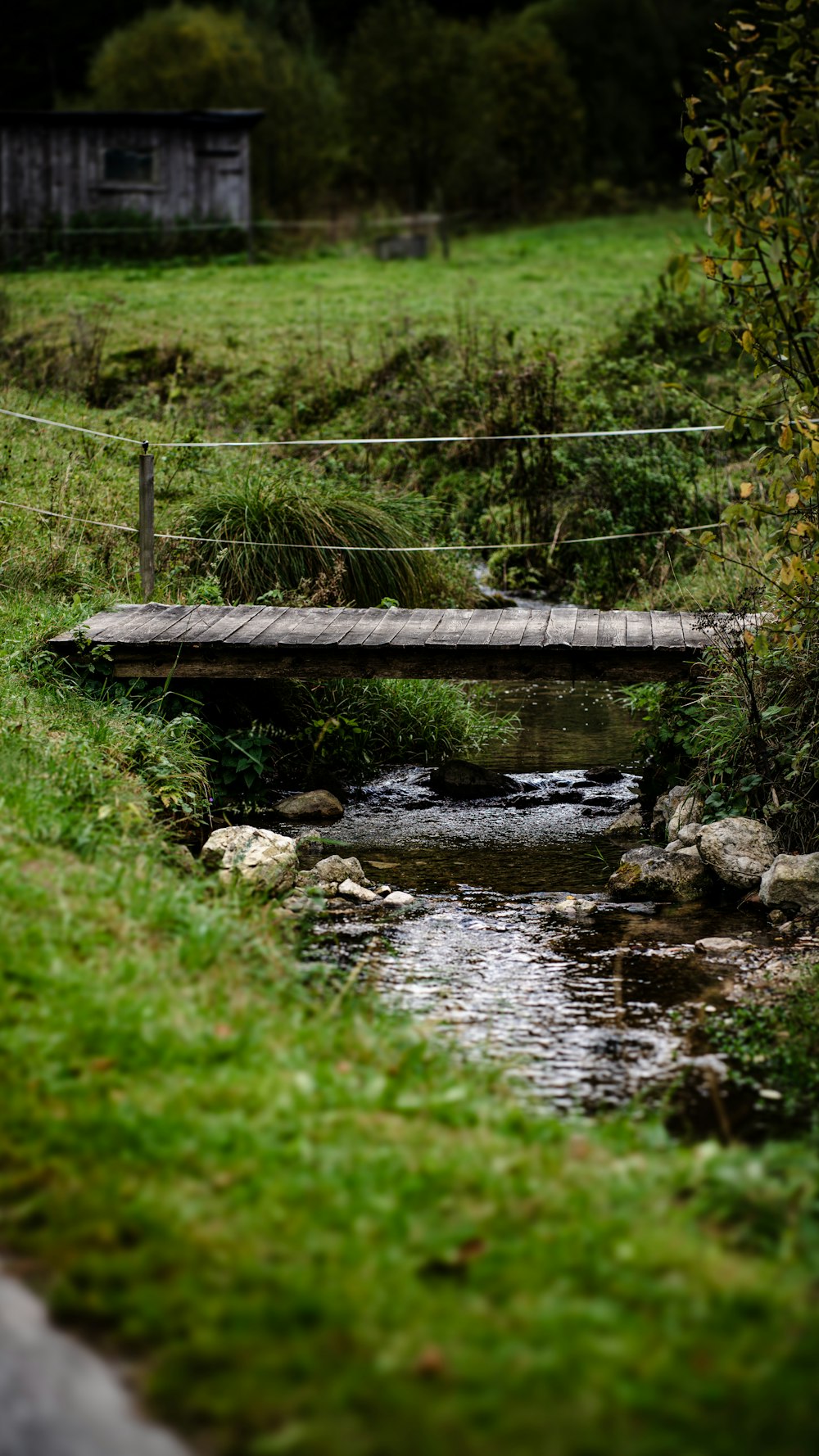 a small wooden bridge over a small stream