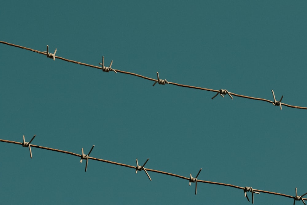 a close up of a barbed wire with a blue sky in the background