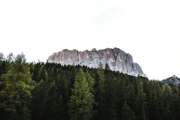 A mountain with trees and a sky background — Val Gardena, Italy