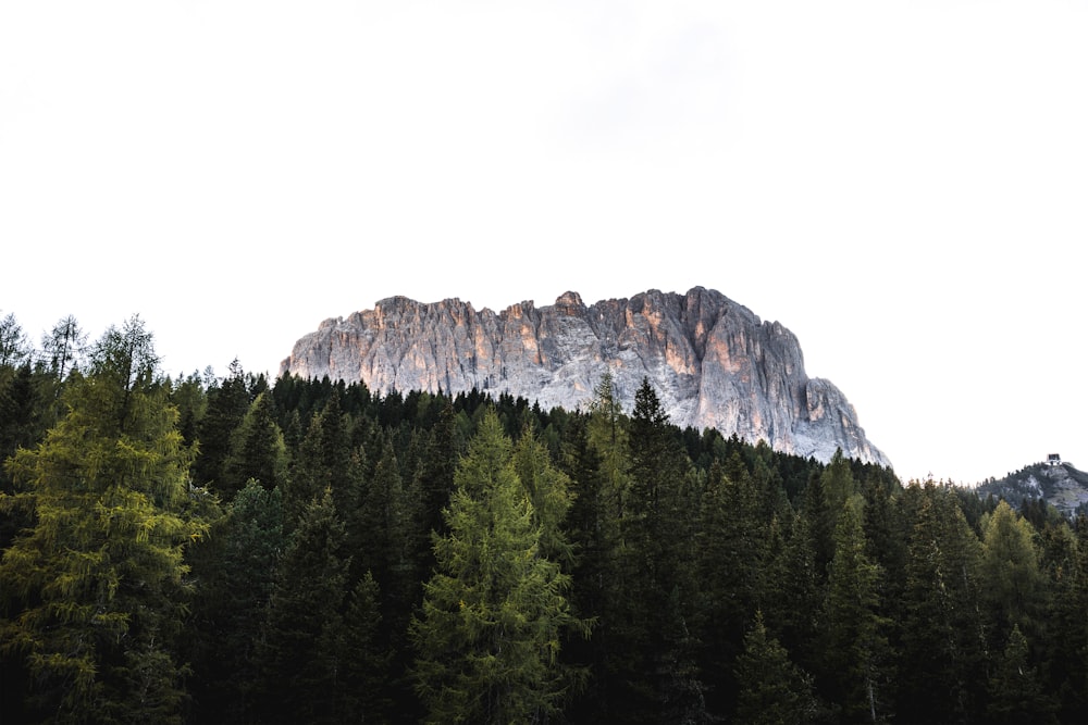 una montaña con árboles y un fondo de cielo