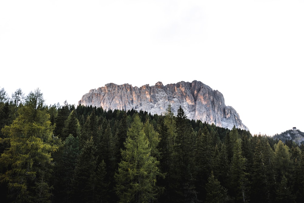 a mountain with trees and a sky background