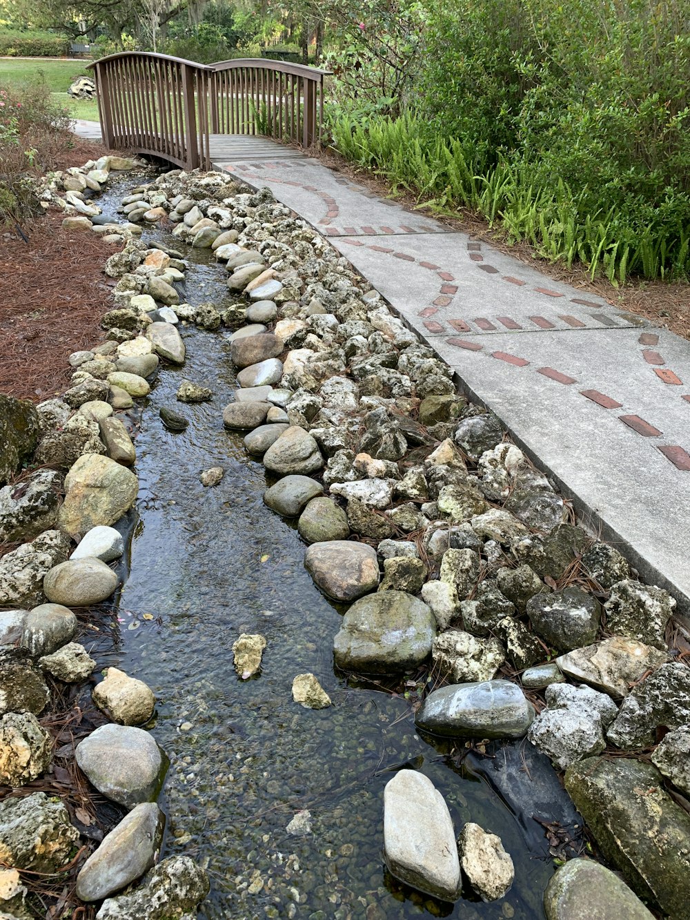 a small stream of water running through a park