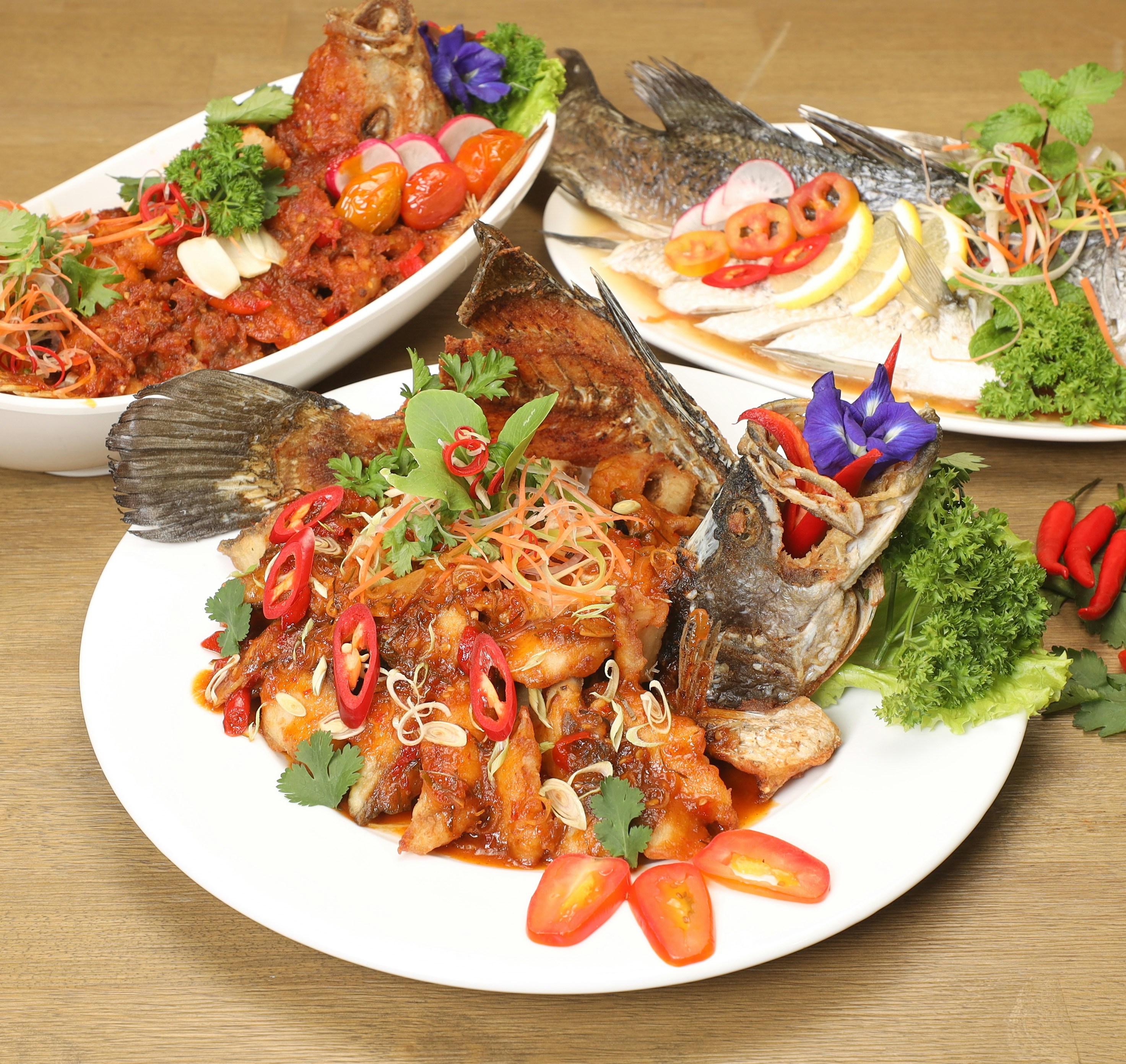 A plate of fresh seafood with a seascape backdrop