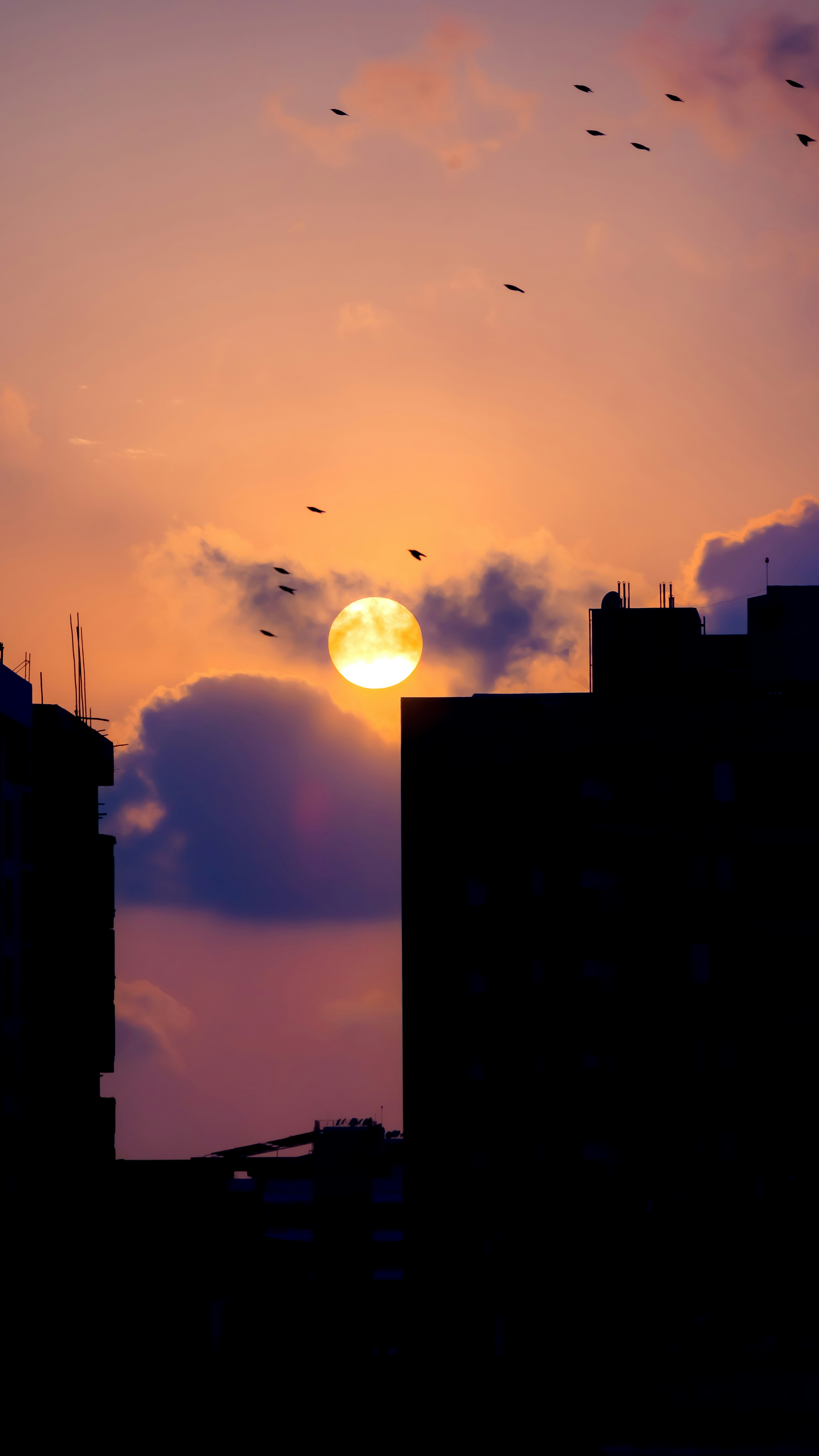 Photo by mazoon_samnani