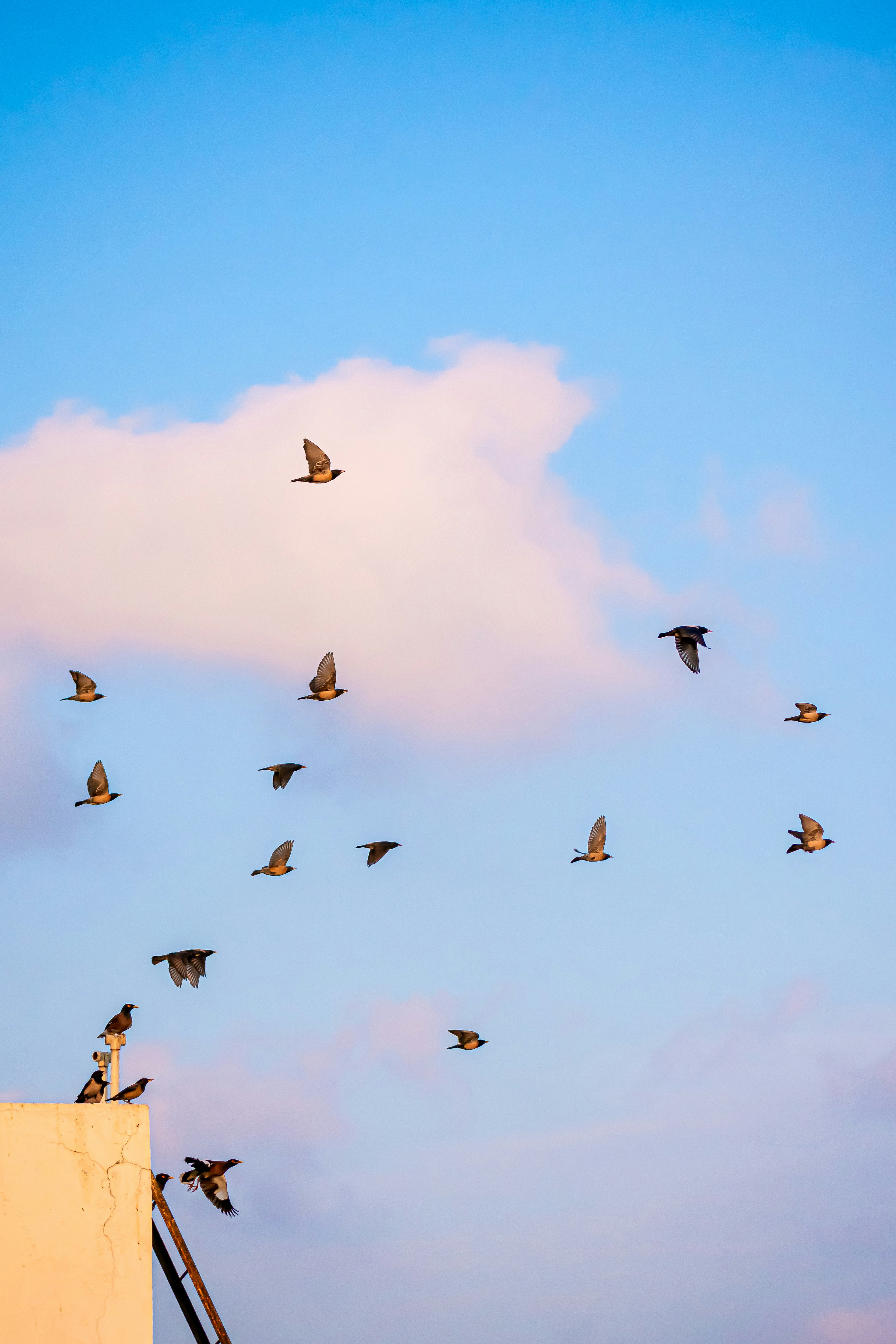 Photo by mazoon_samnani