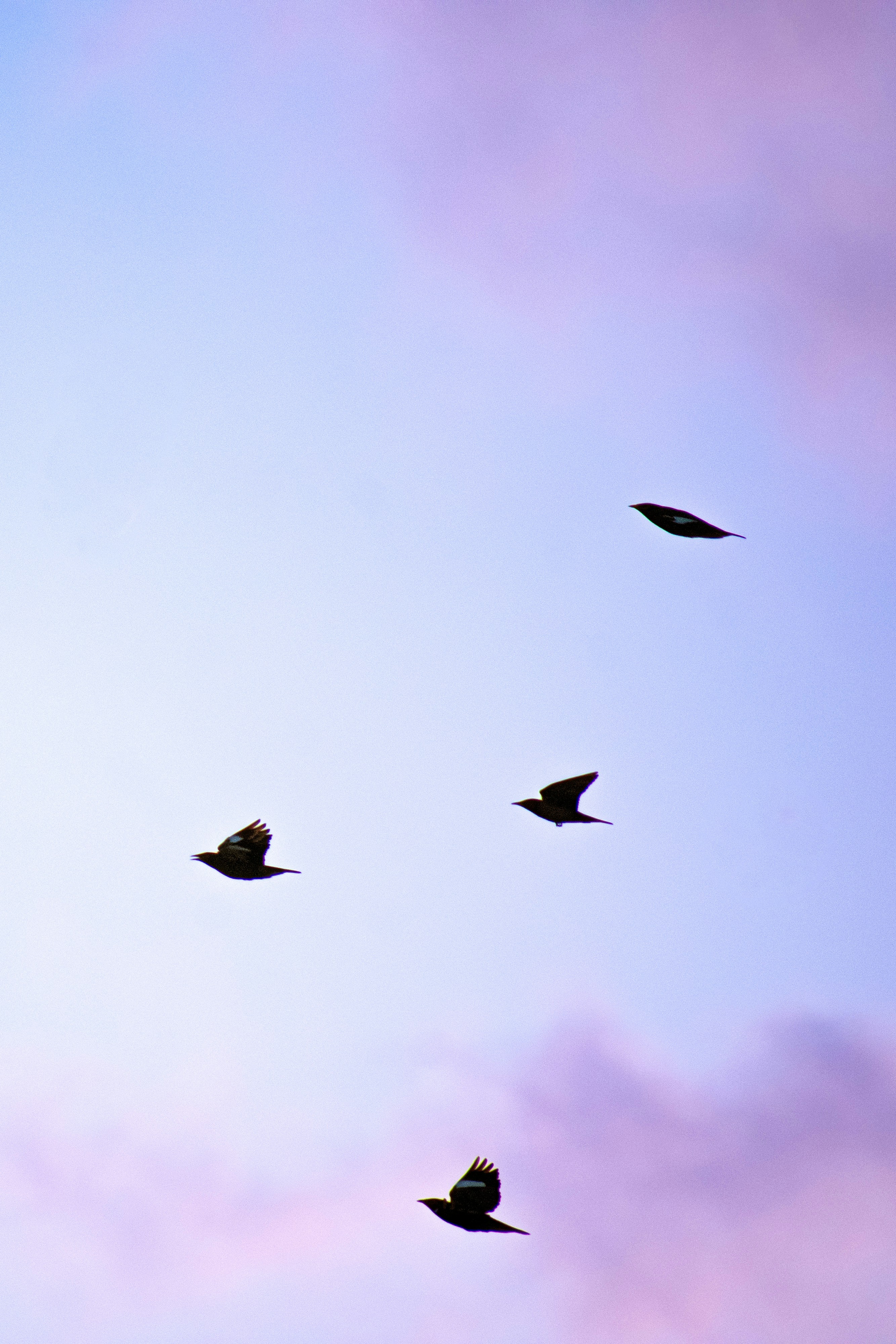 Photo by mazoon_samnani