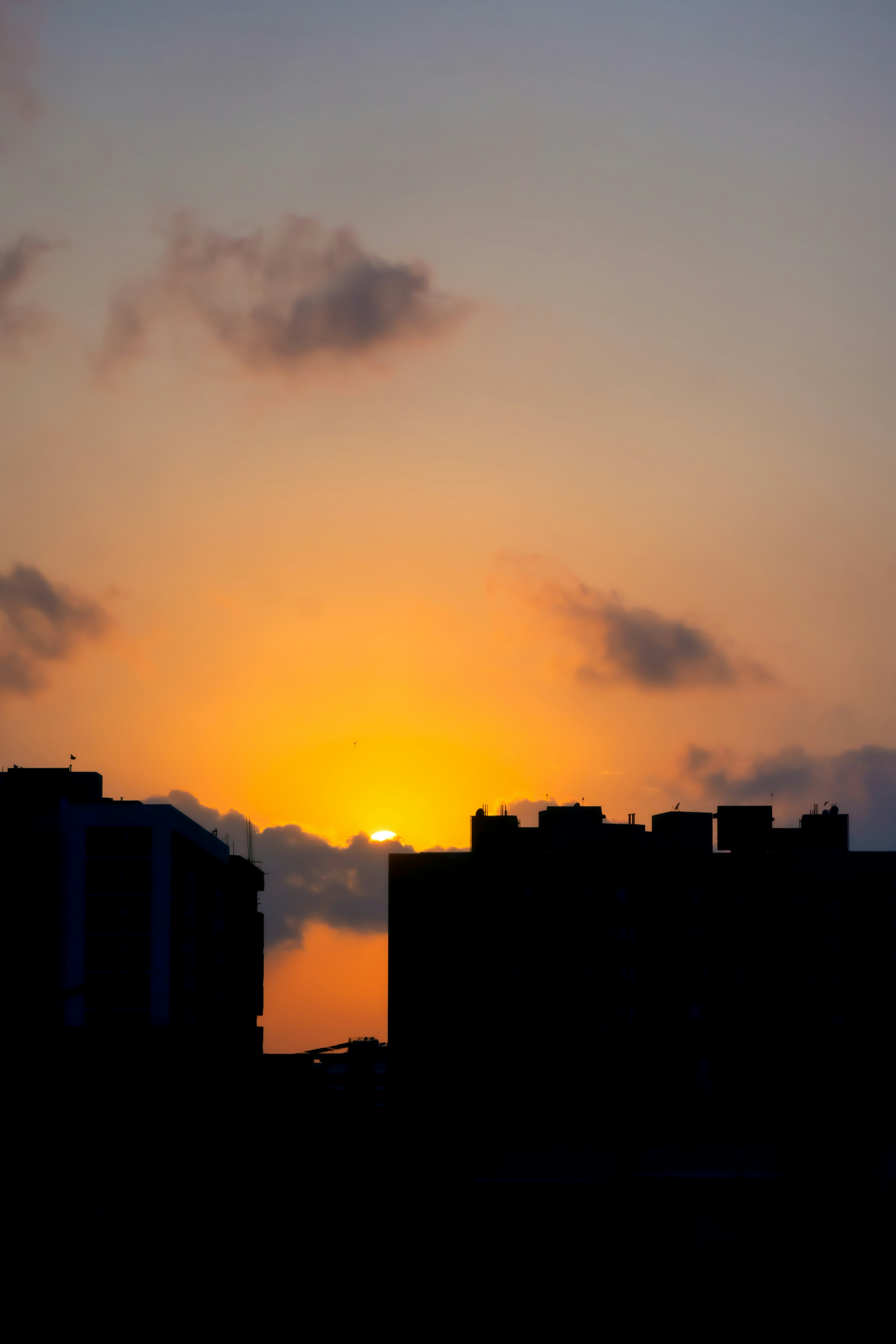 Photo by mazoon_samnani