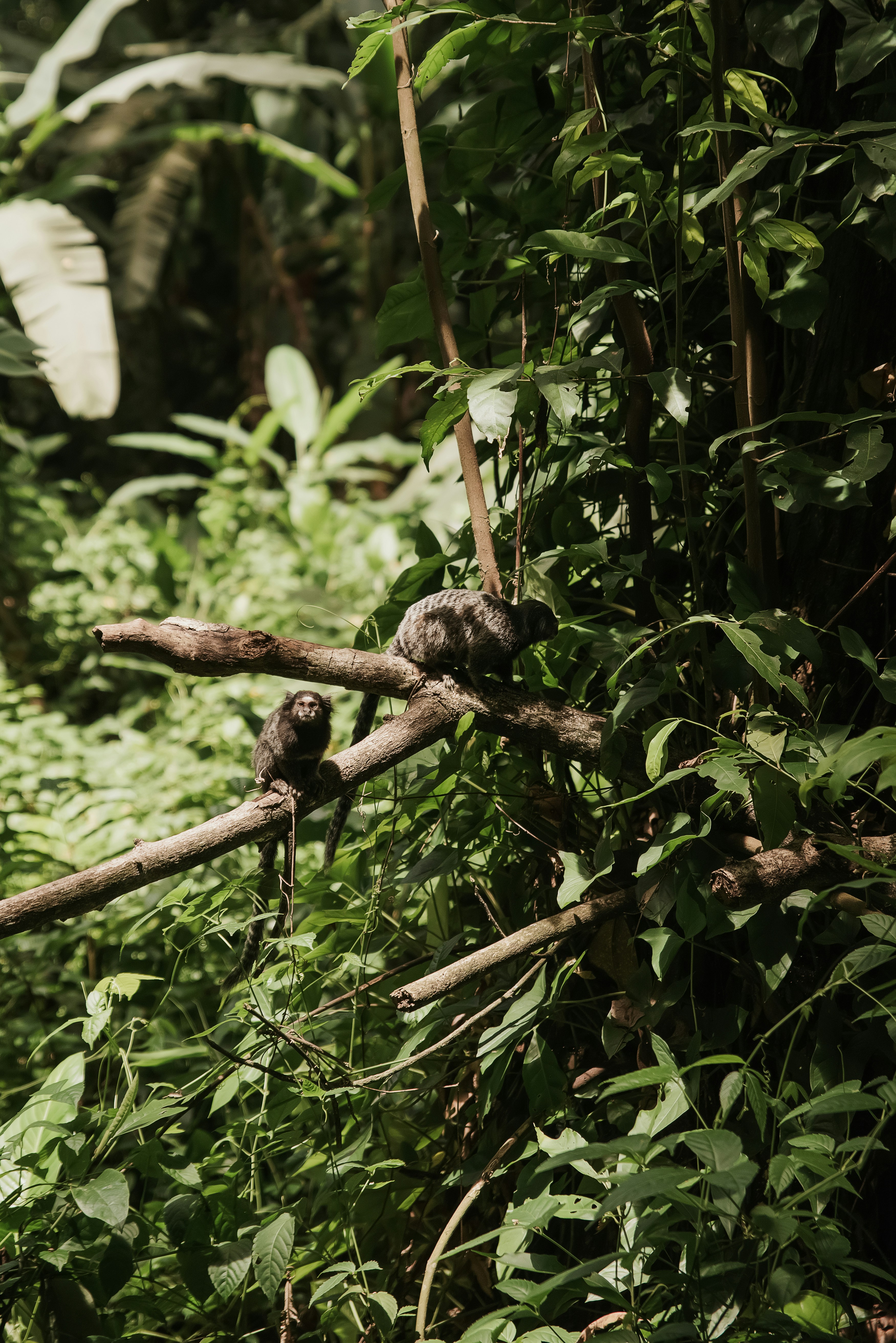 Photo by gerginphotography