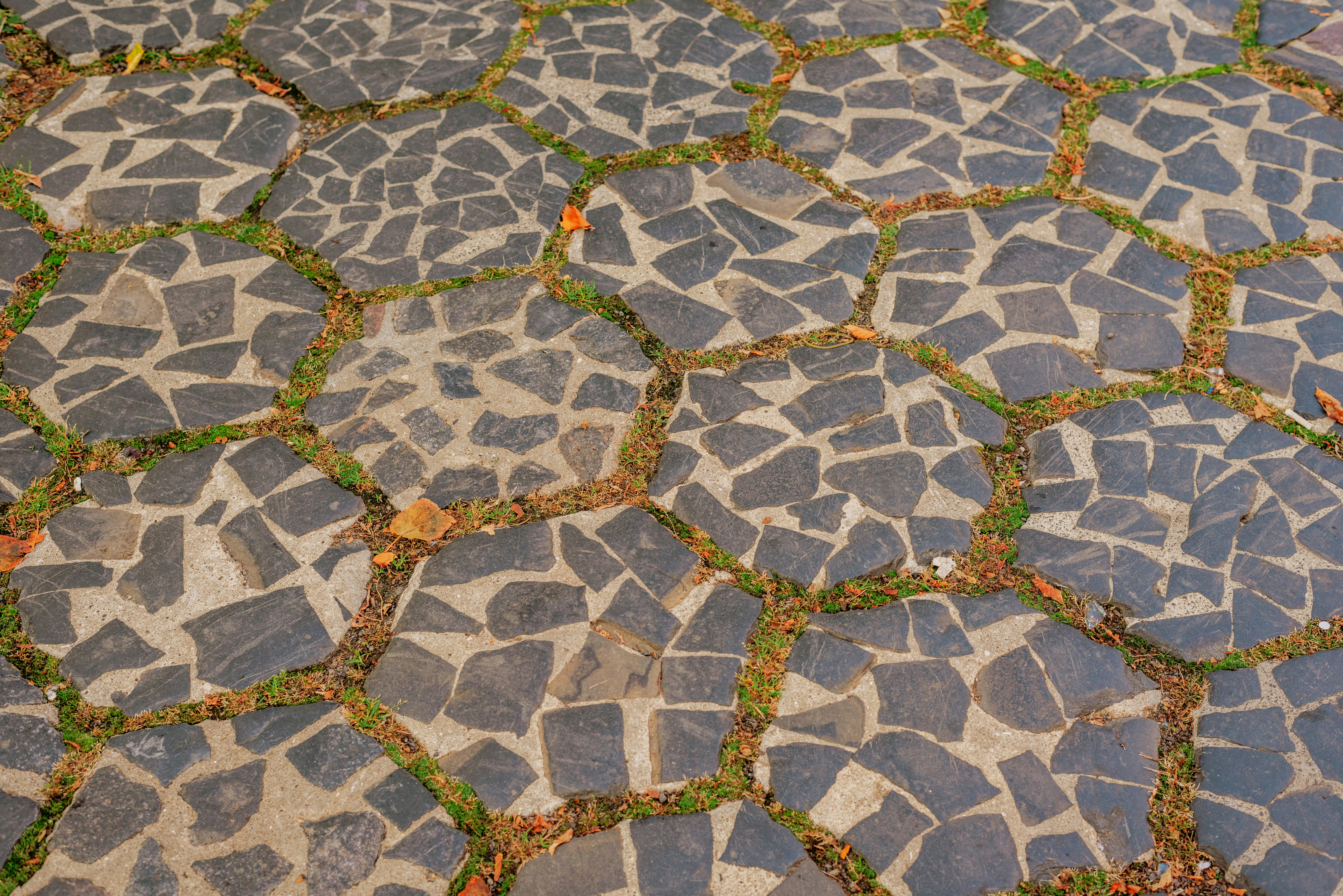 a close up of a stone pavement with grass growing on it