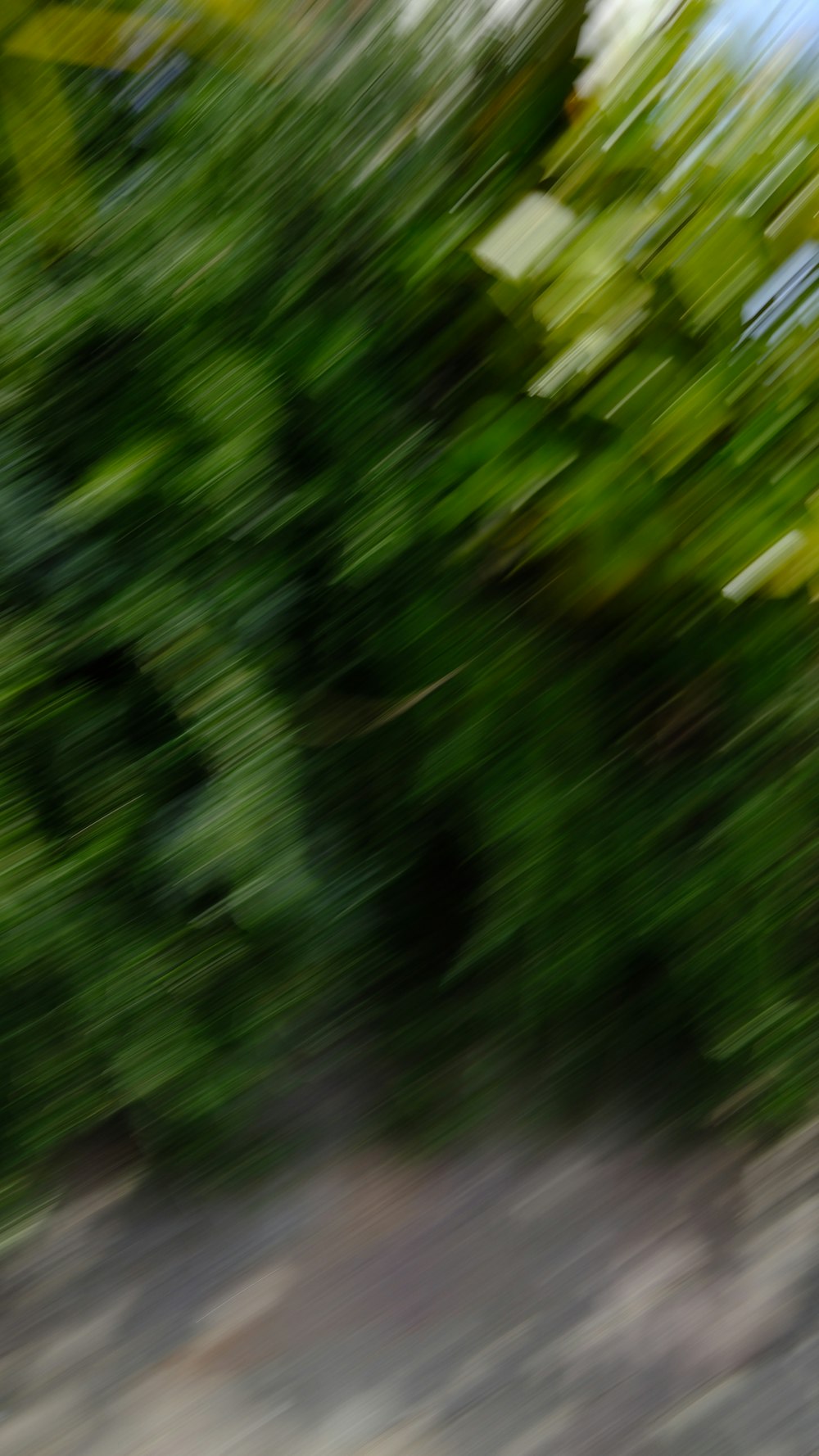 a blurry photo of a person riding a skateboard