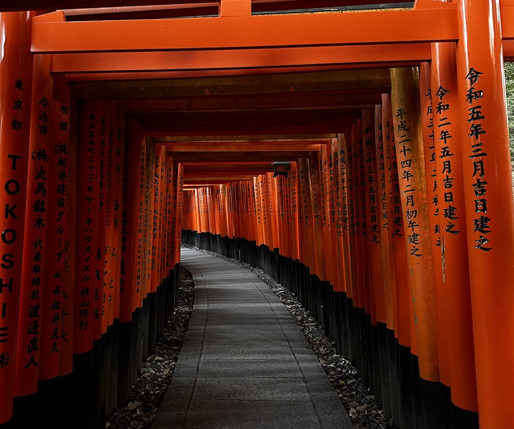 a long line of orange tori tori tori tori tori tori tori tori tori tori tori