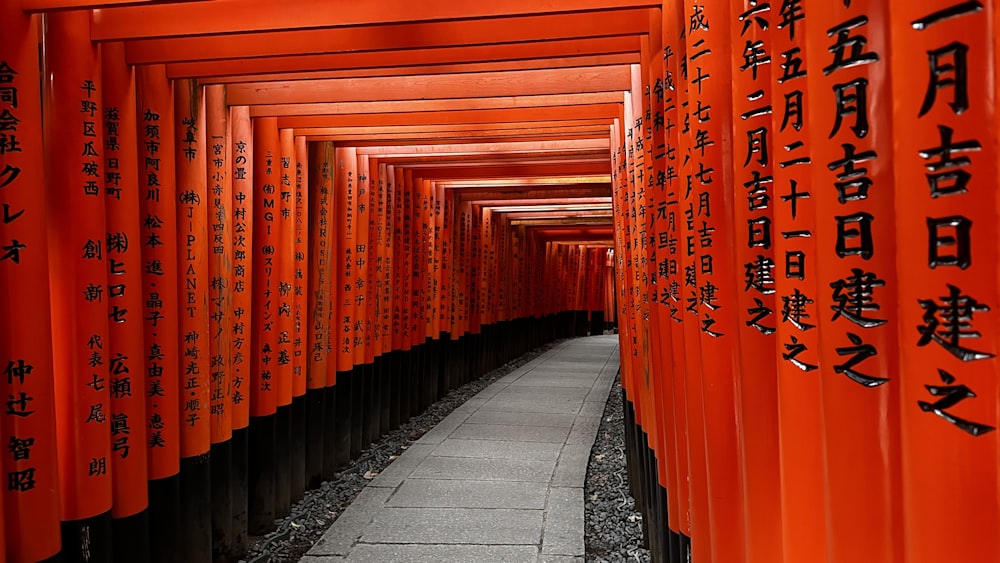 a walkway lined with red tori tori tori tori tori tori tori tori tori tori tori