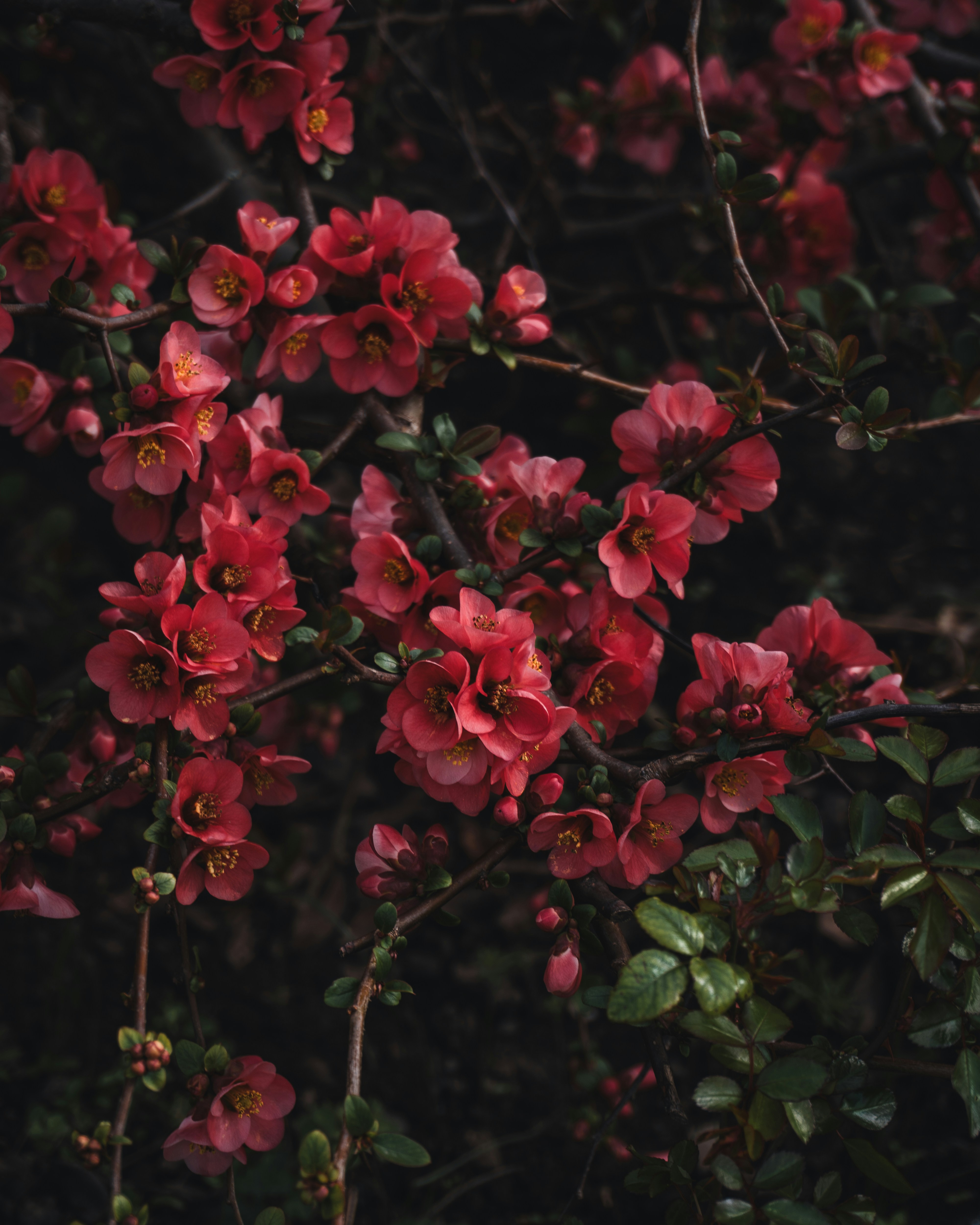 Photo by puskas_dominik