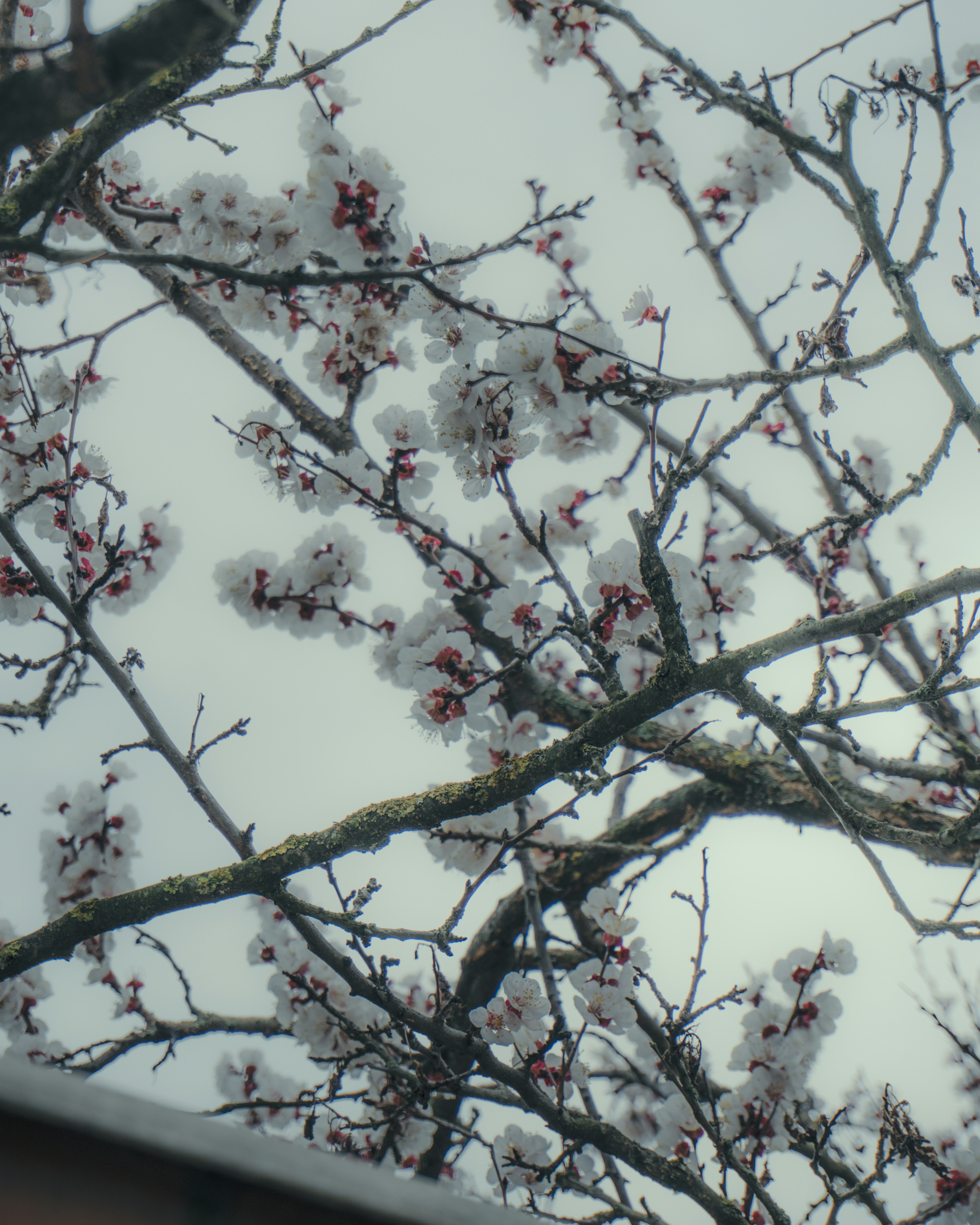 Photo by puskas_dominik