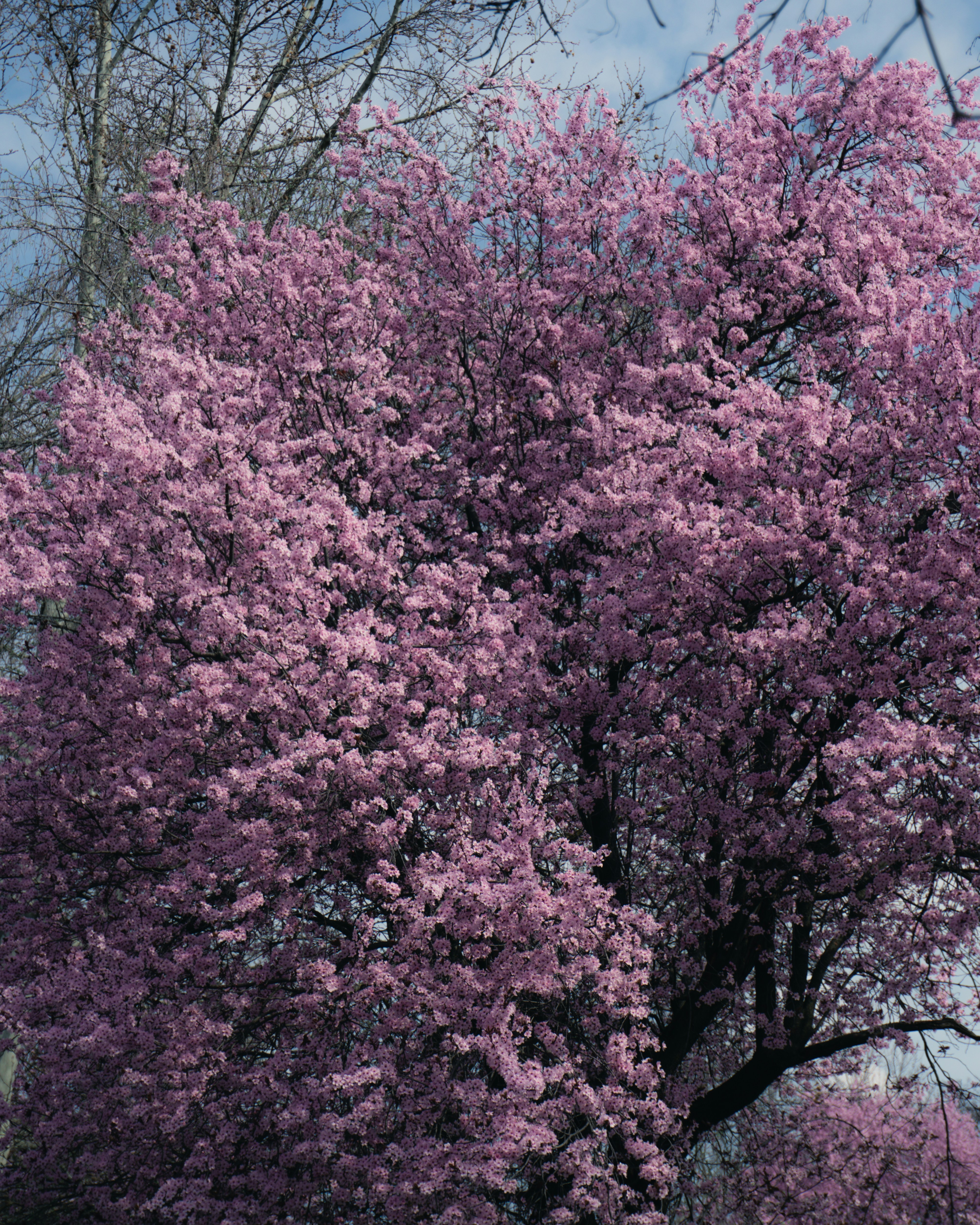 Photo by puskas_dominik