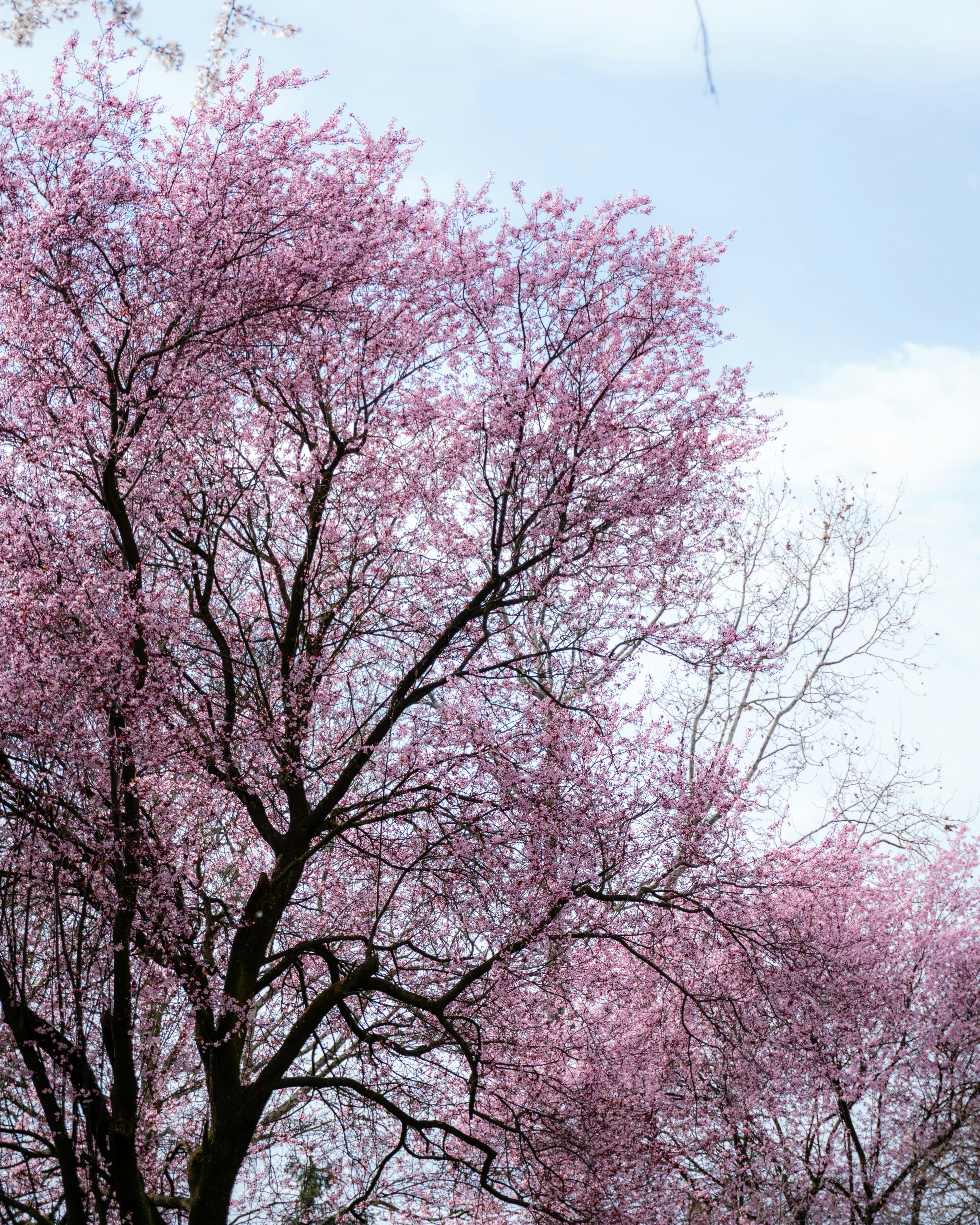 Photo by puskas_dominik