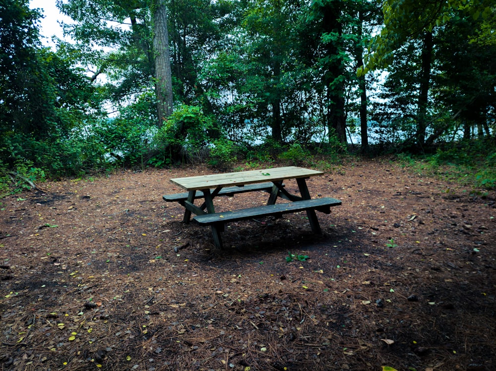 a picnic table sitting in the middle of a forest