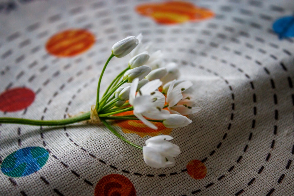 a close up of a flower on a table cloth