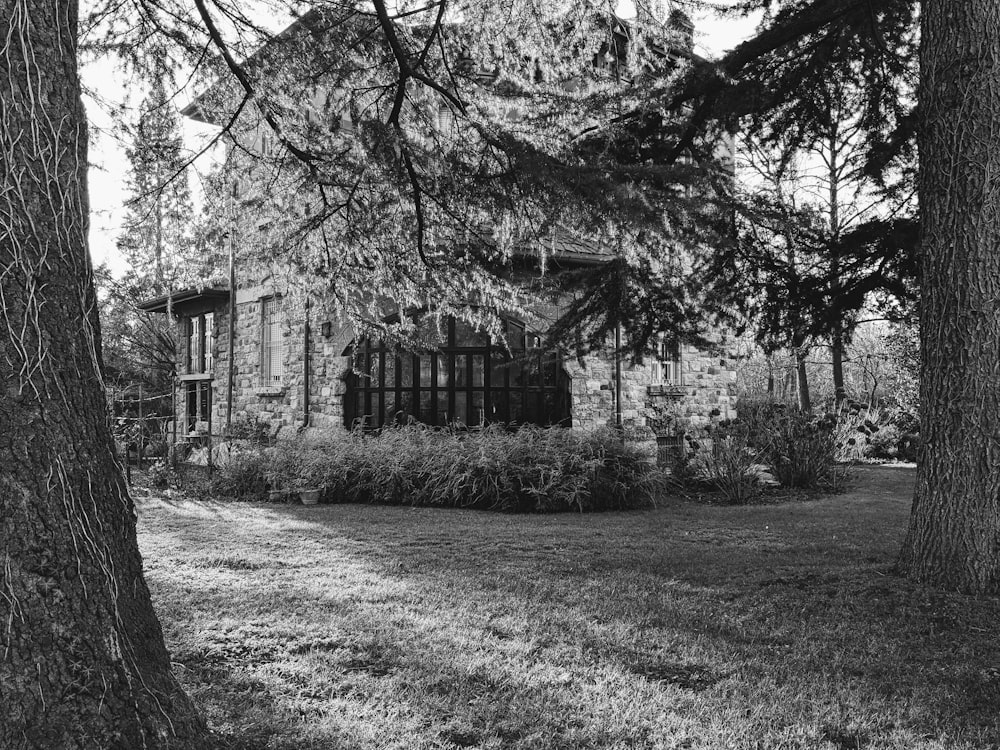 a black and white photo of a house in the woods