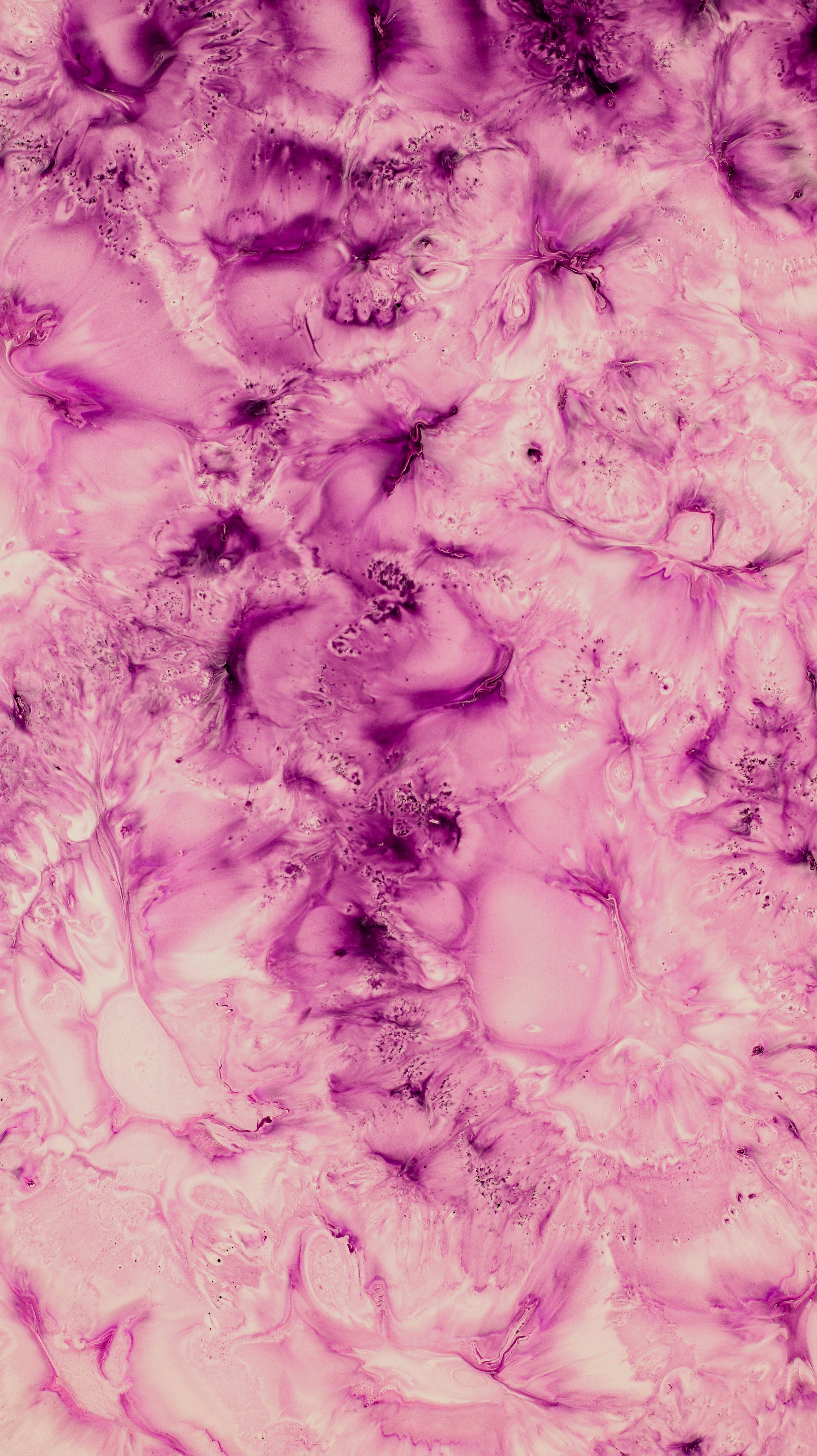 Photo by susan_wilkinson