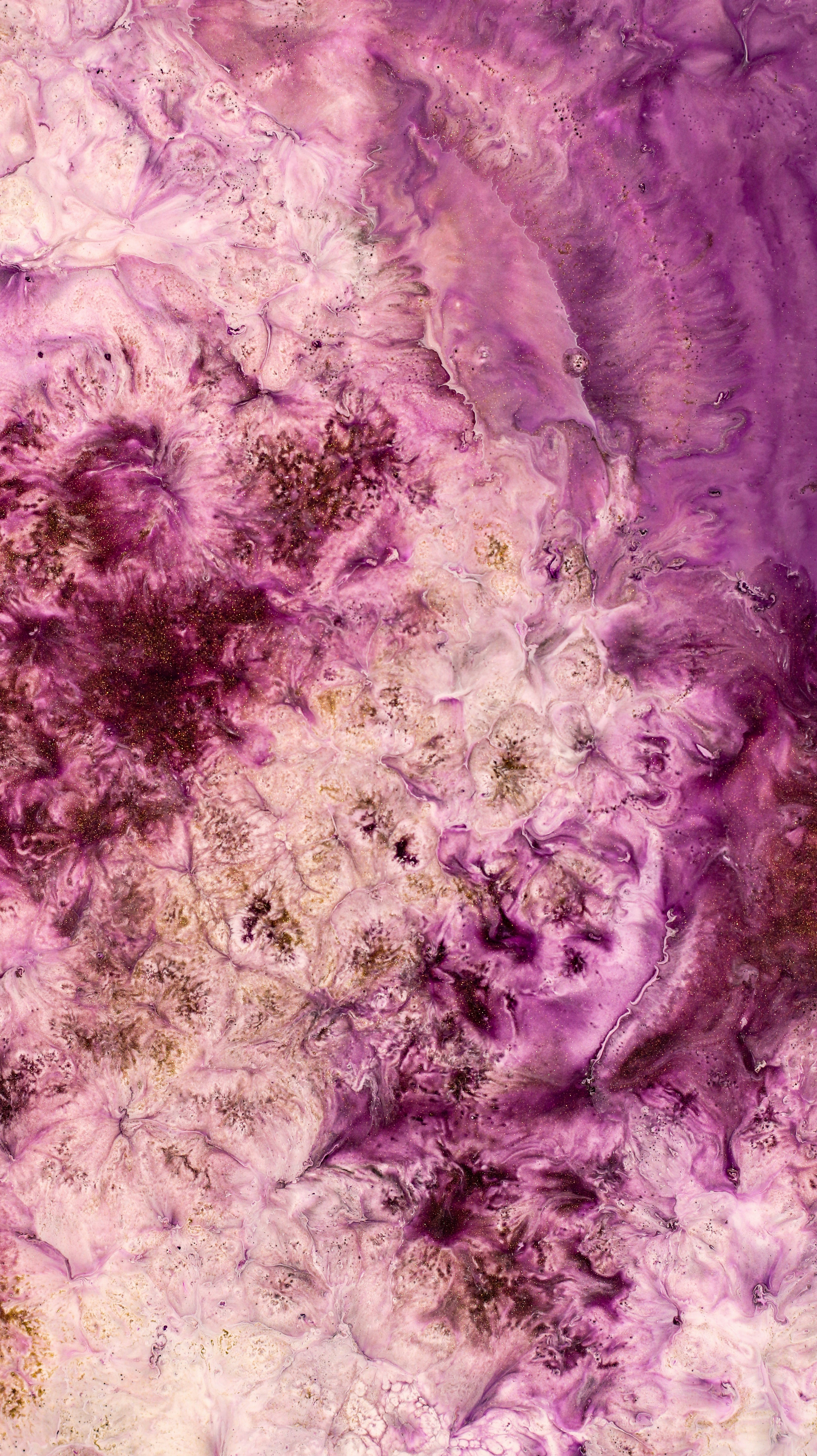 Photo by susan_wilkinson