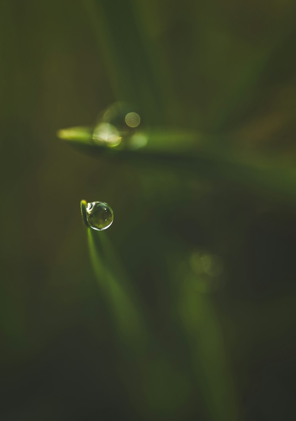 a drop of water sitting on top of a green leaf