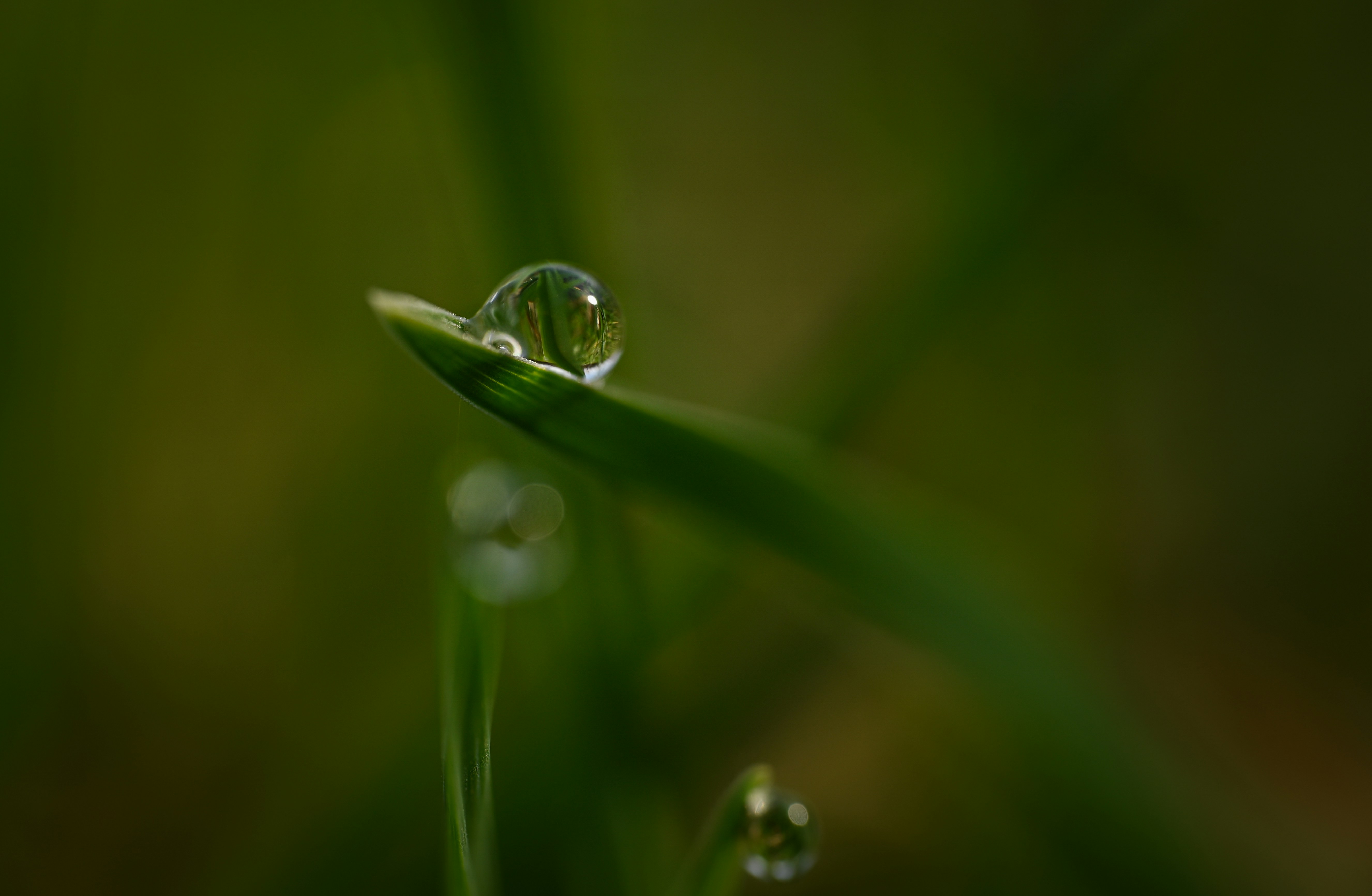 Photo by alexandra_p_d