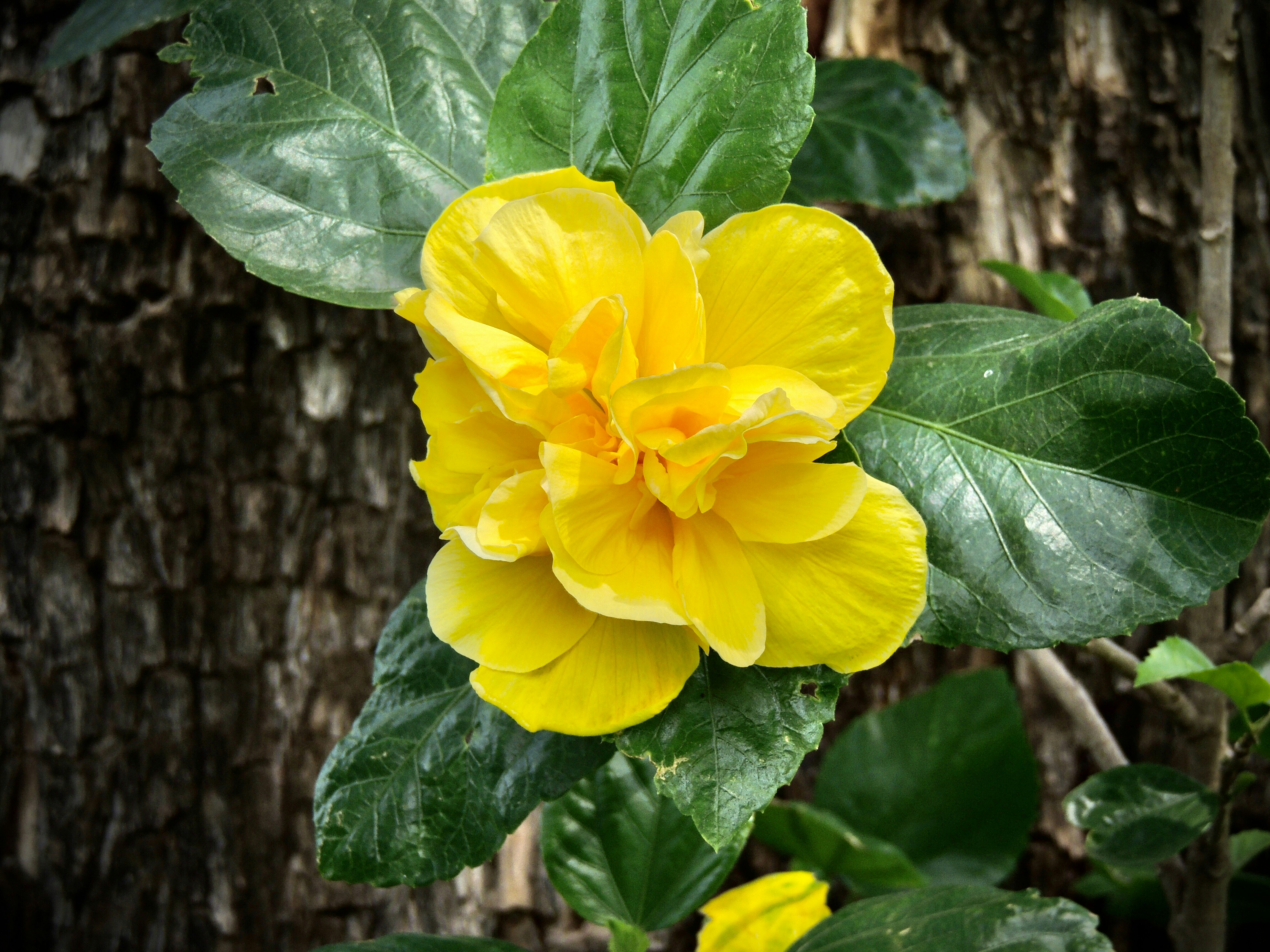 Photo by sunshinestudio82