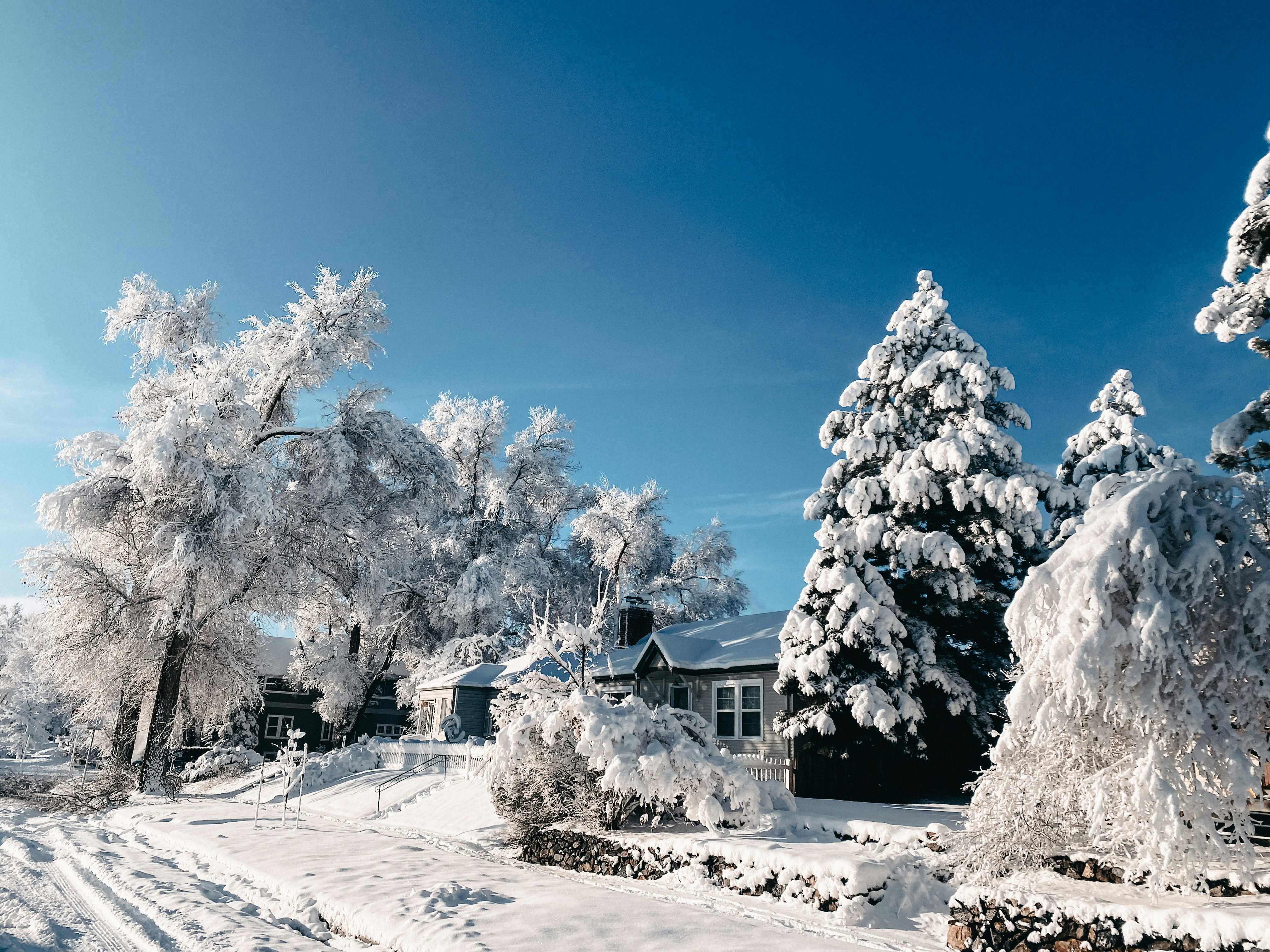 Photo by sojourningsister