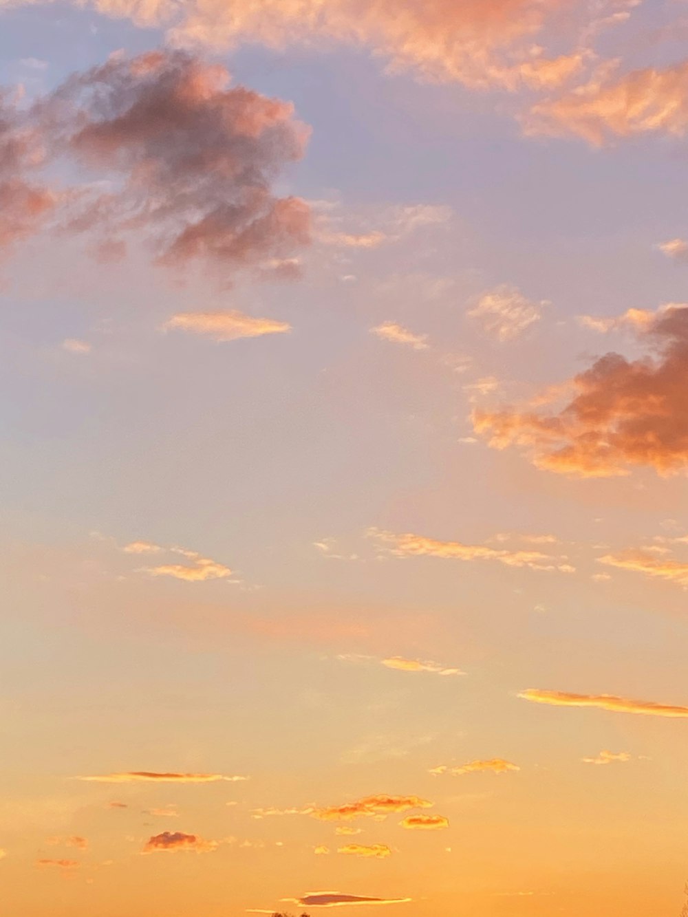 a plane flying in the sky at sunset