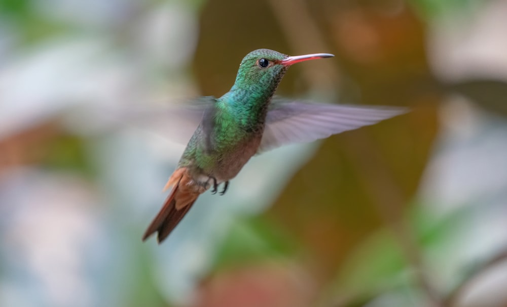 a hummingbird flying through the air with a blurry background