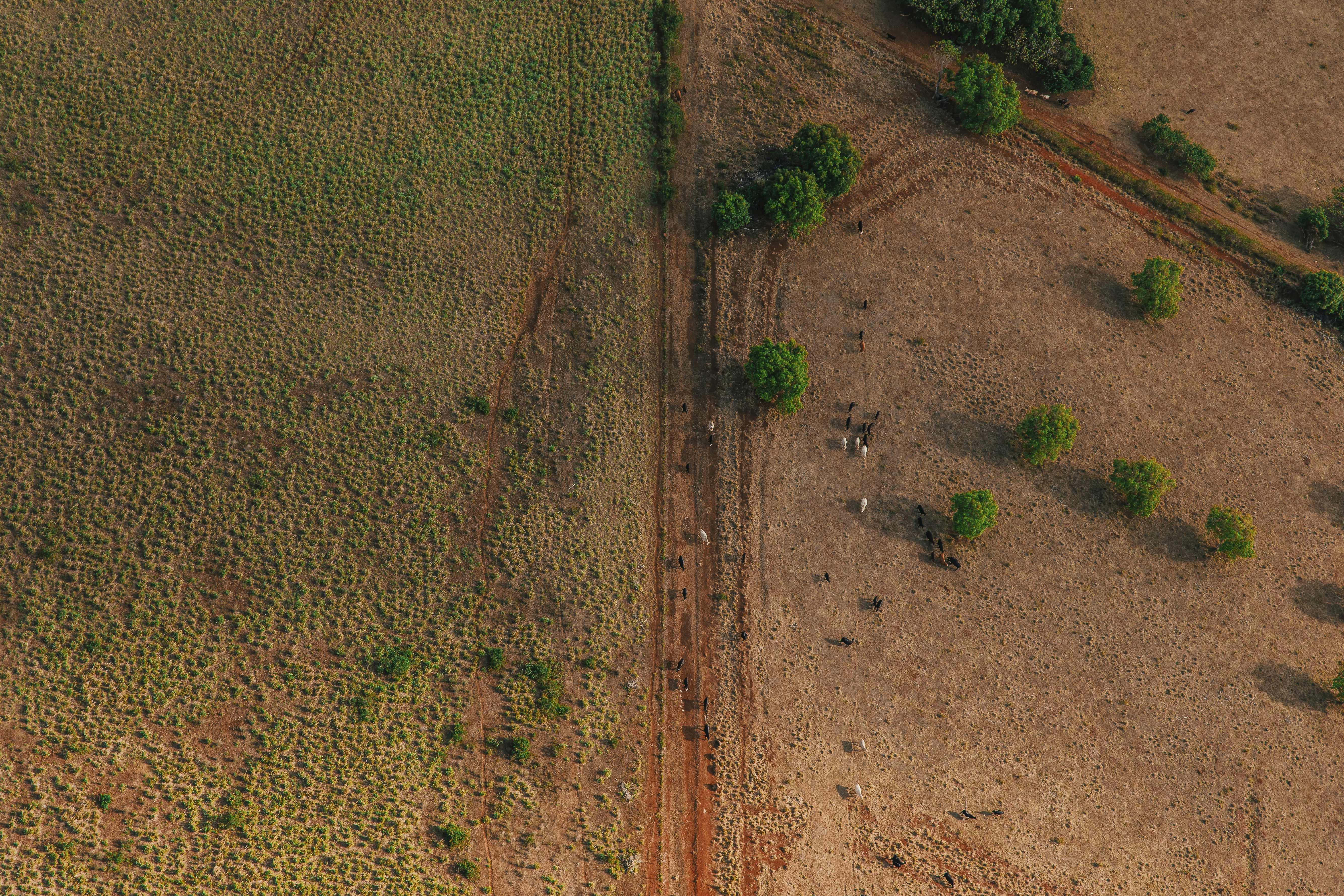 Photo by weekendtripcreator