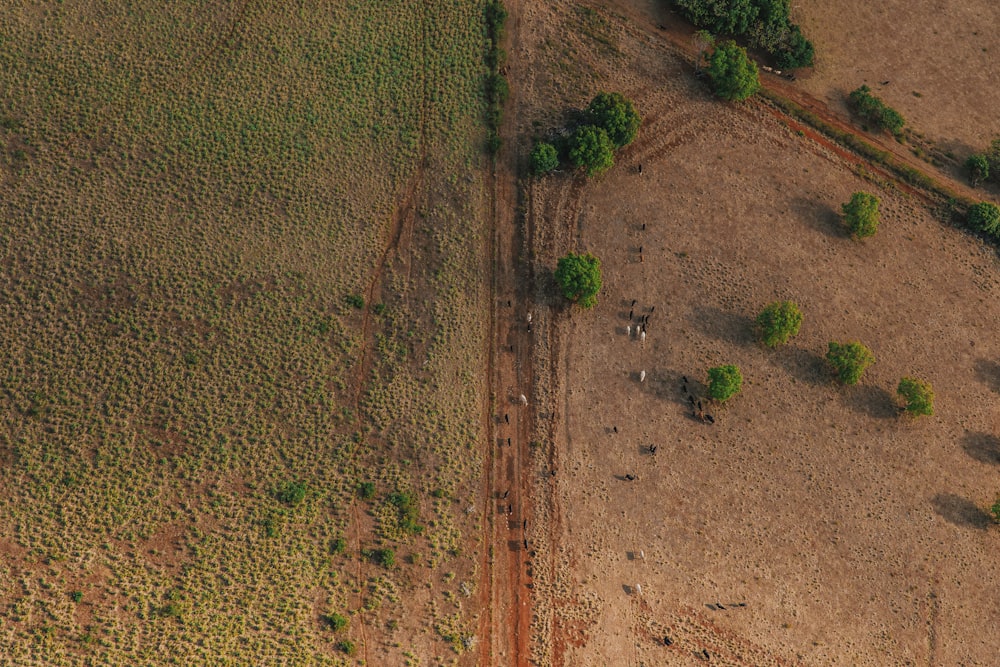 an aerial view of a dirt road in the middle of a field