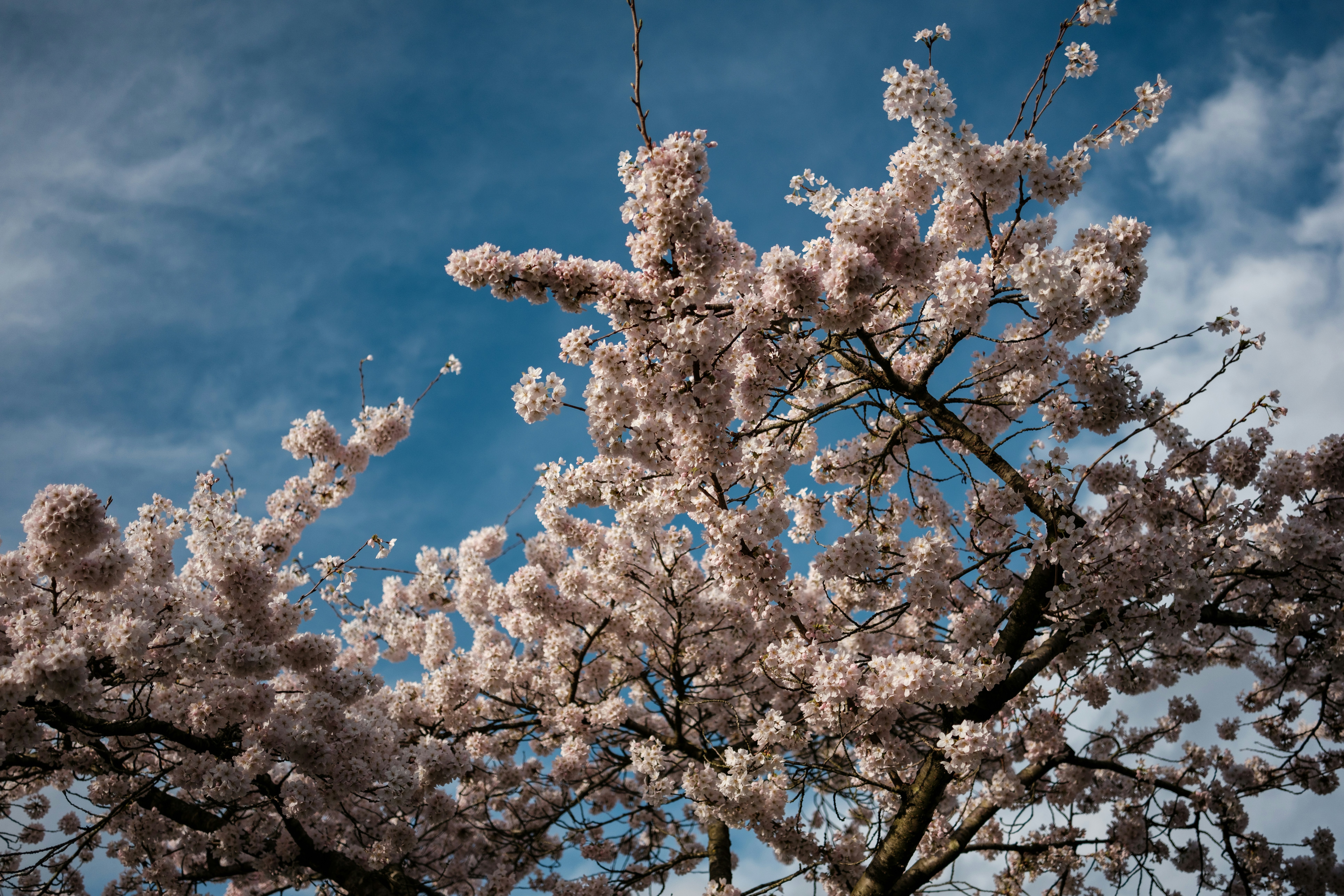 Photo by haberdoedas2