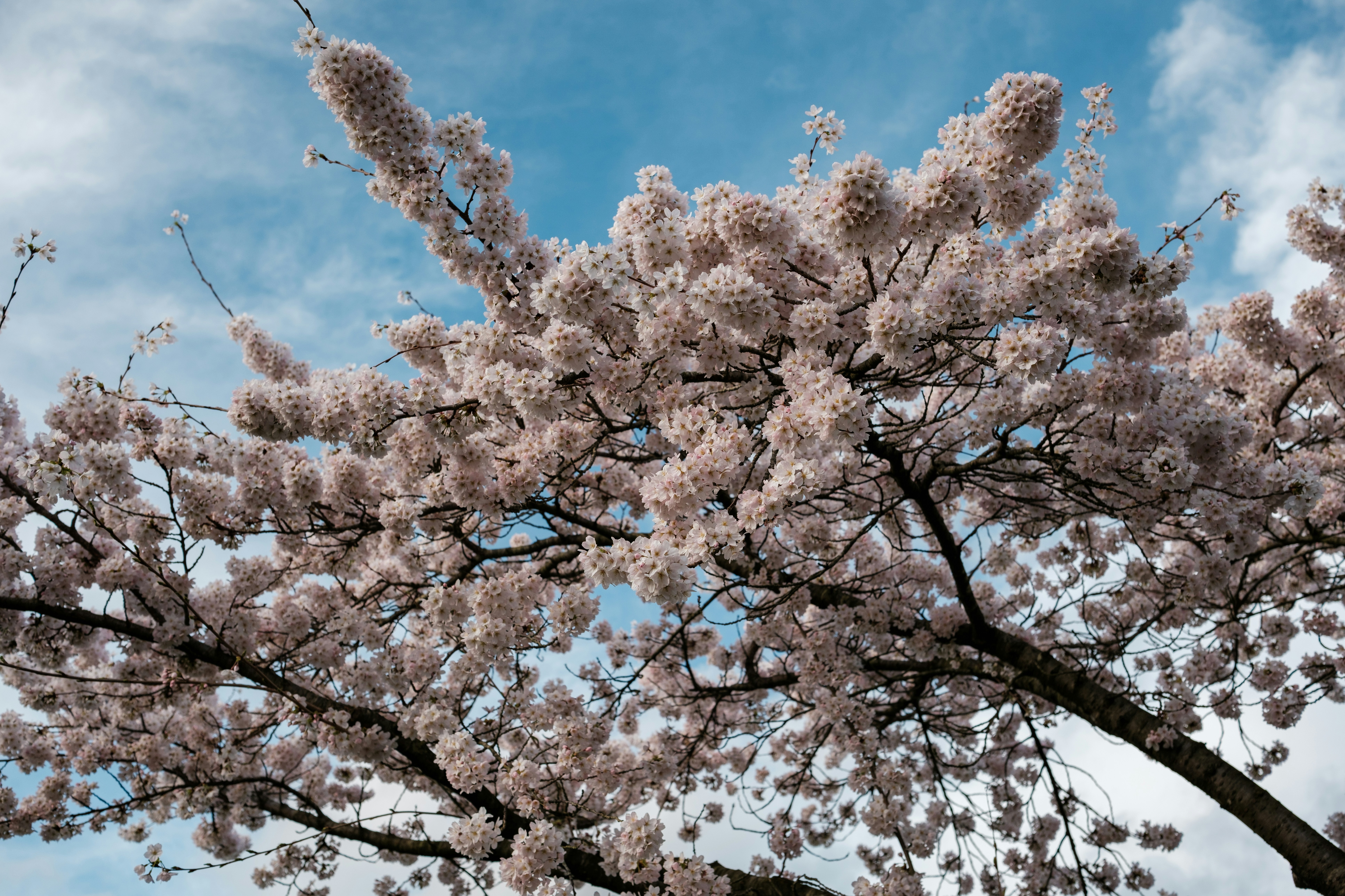 Photo by haberdoedas2