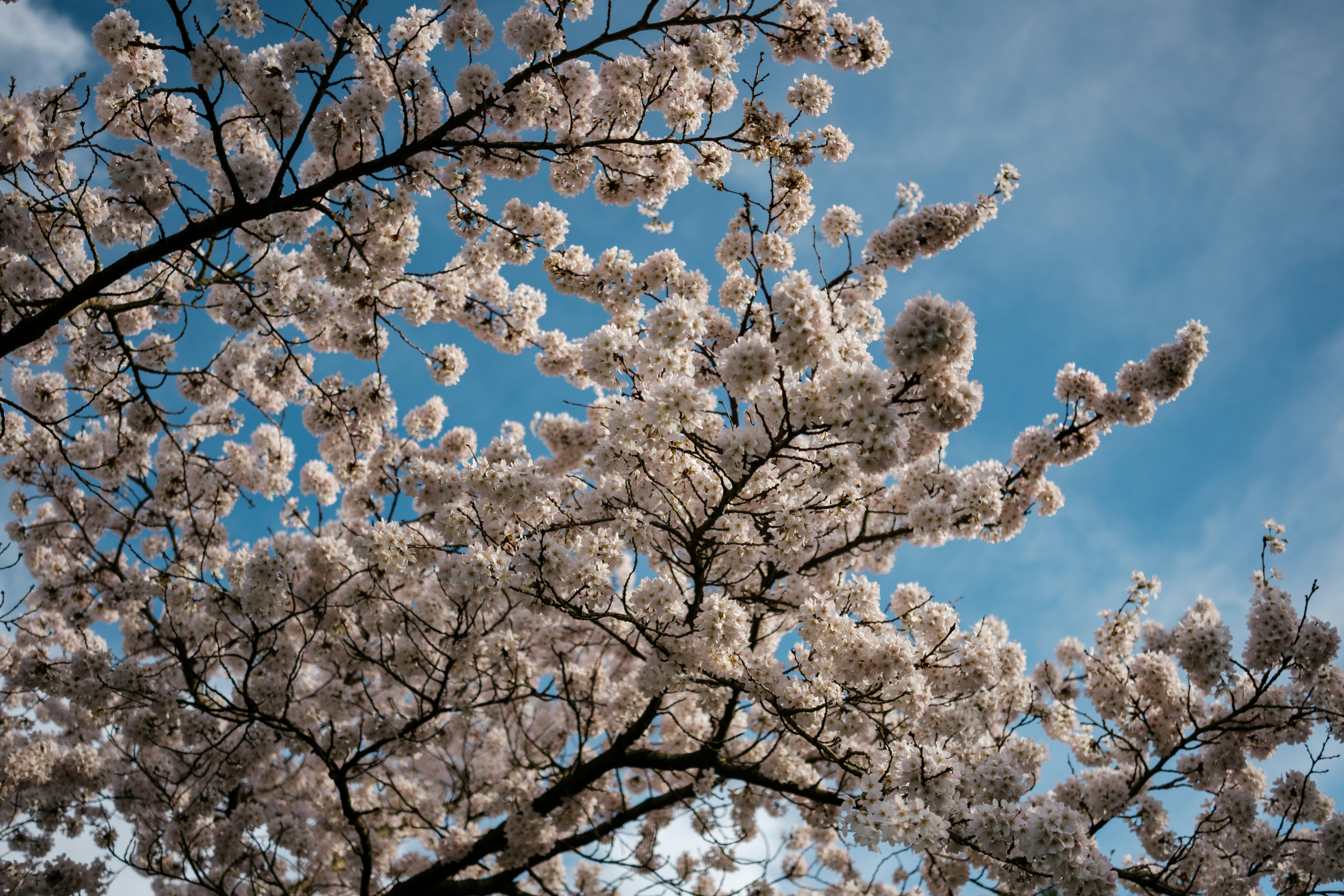 Photo by haberdoedas2