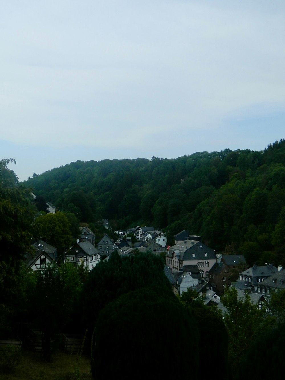 a view of a small town in the middle of a forest