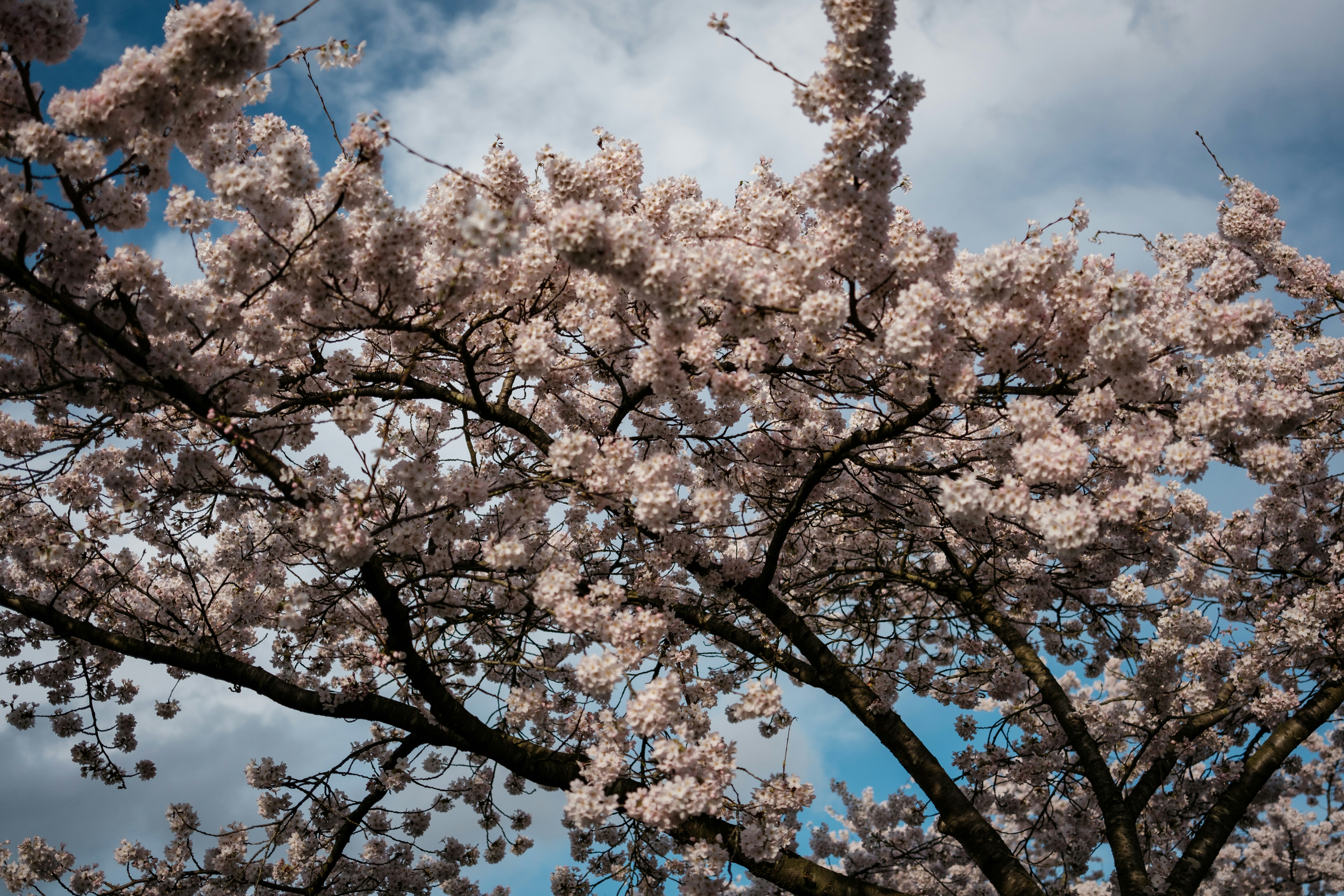 Photo by haberdoedas2